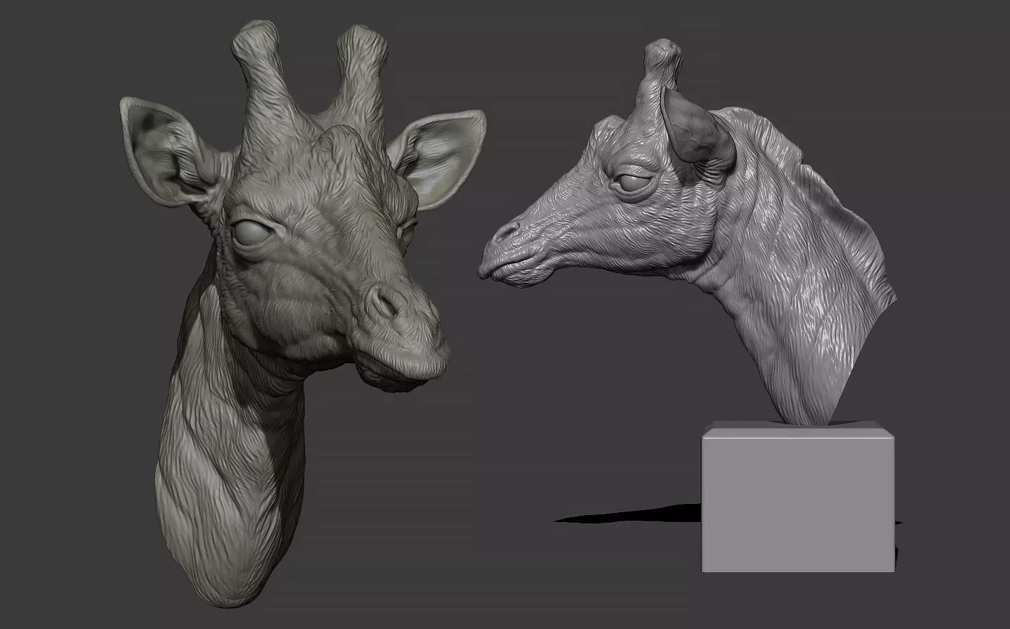 Giraffe head 3D print model_0