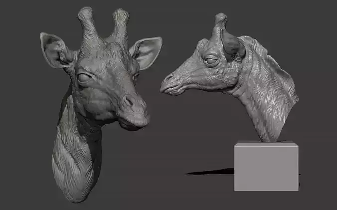 Giraffe head 3D print model
