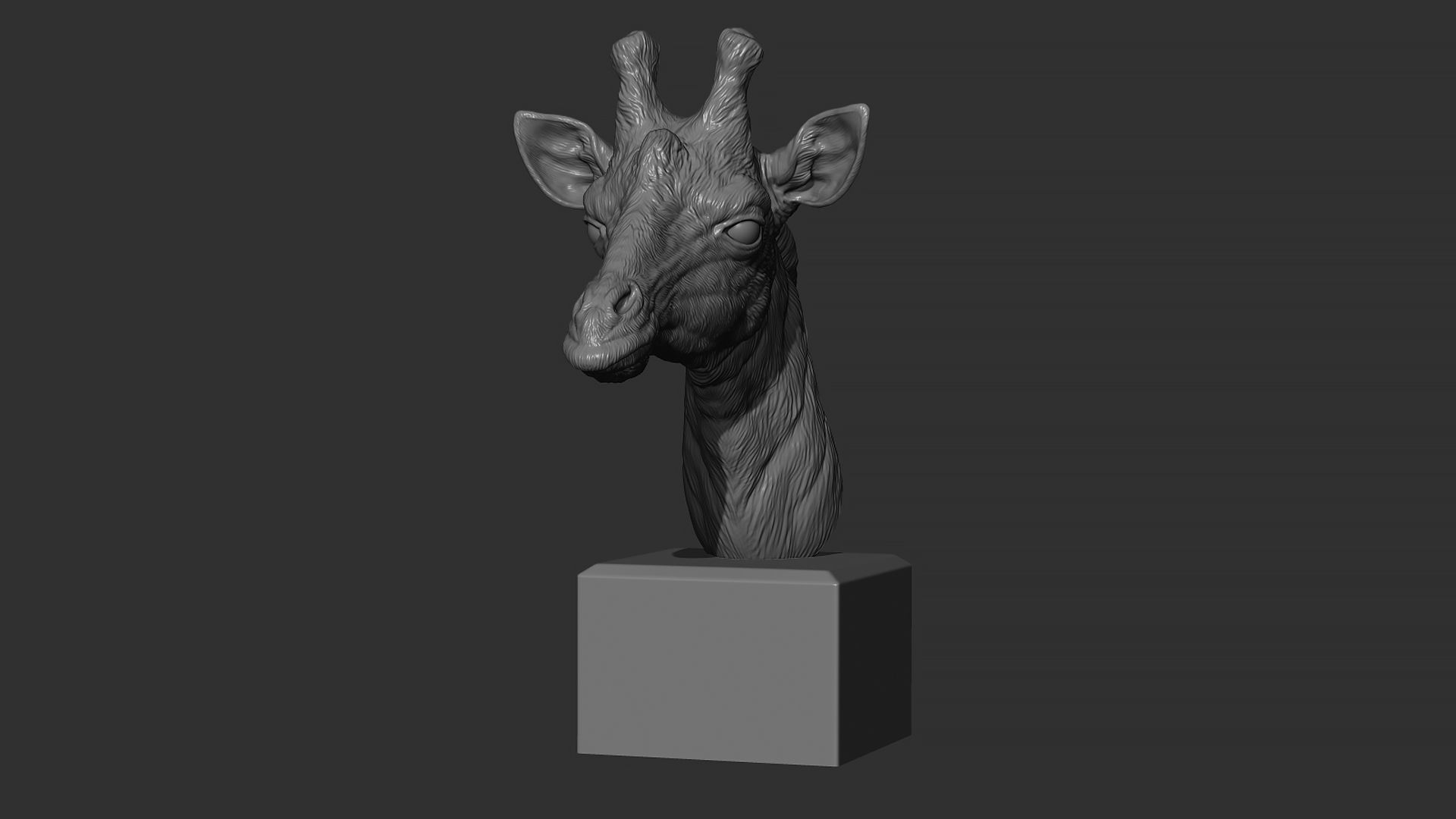 Giraffe head 3D print model_8