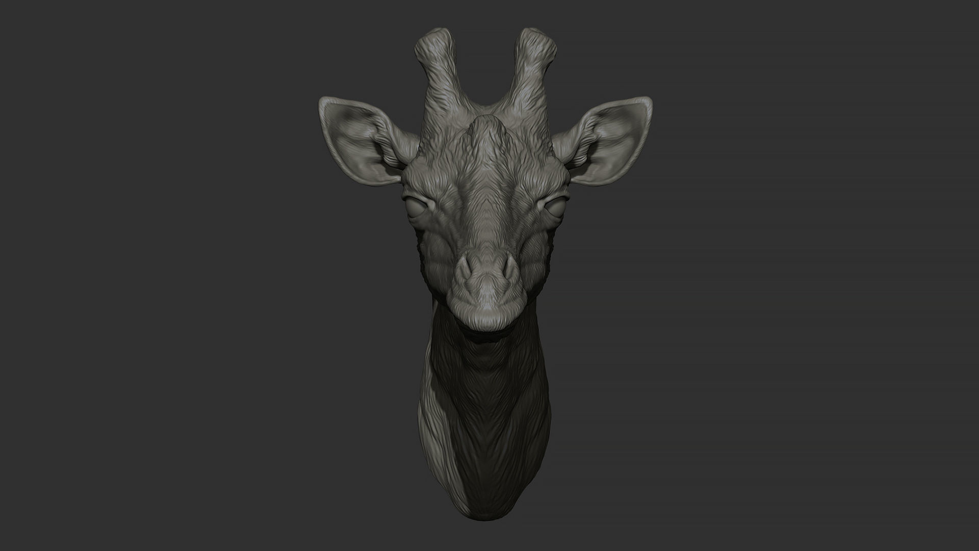 Giraffe head 3D print model_13