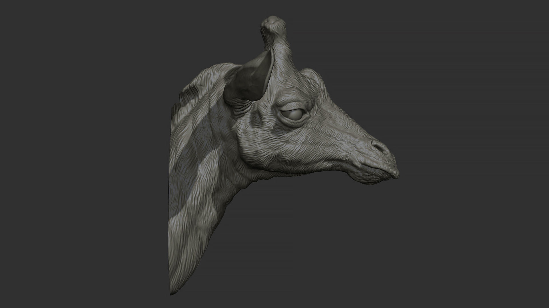 Giraffe head 3D print model_19