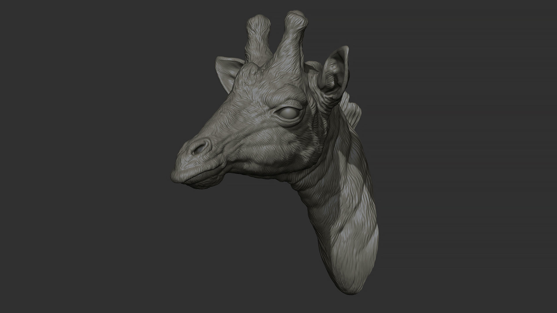 Giraffe head 3D print model_21