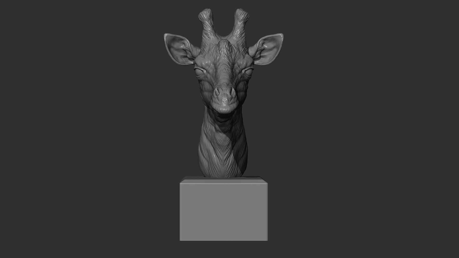 Giraffe head 3D print model_7
