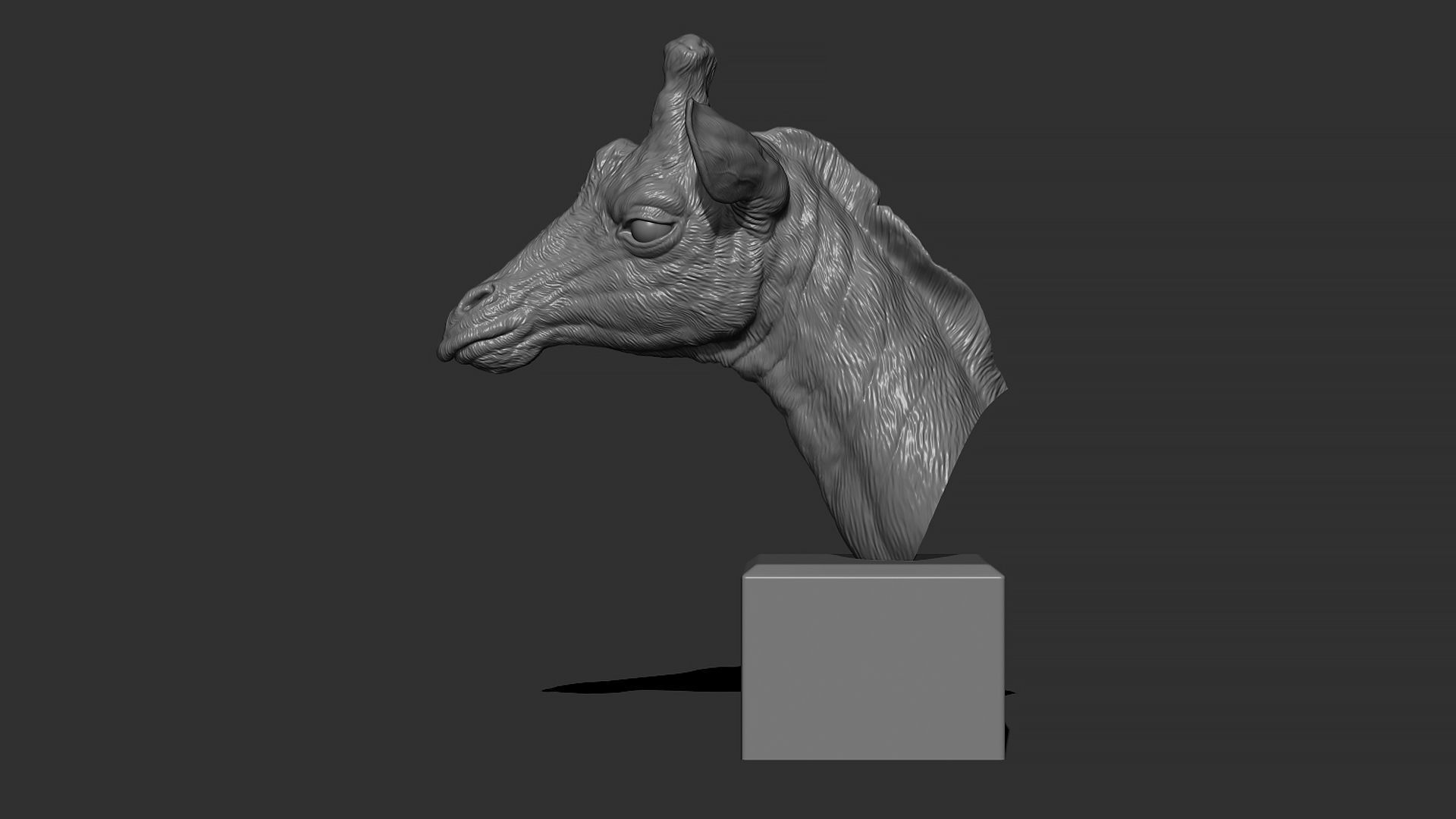 Giraffe head 3D print model_4