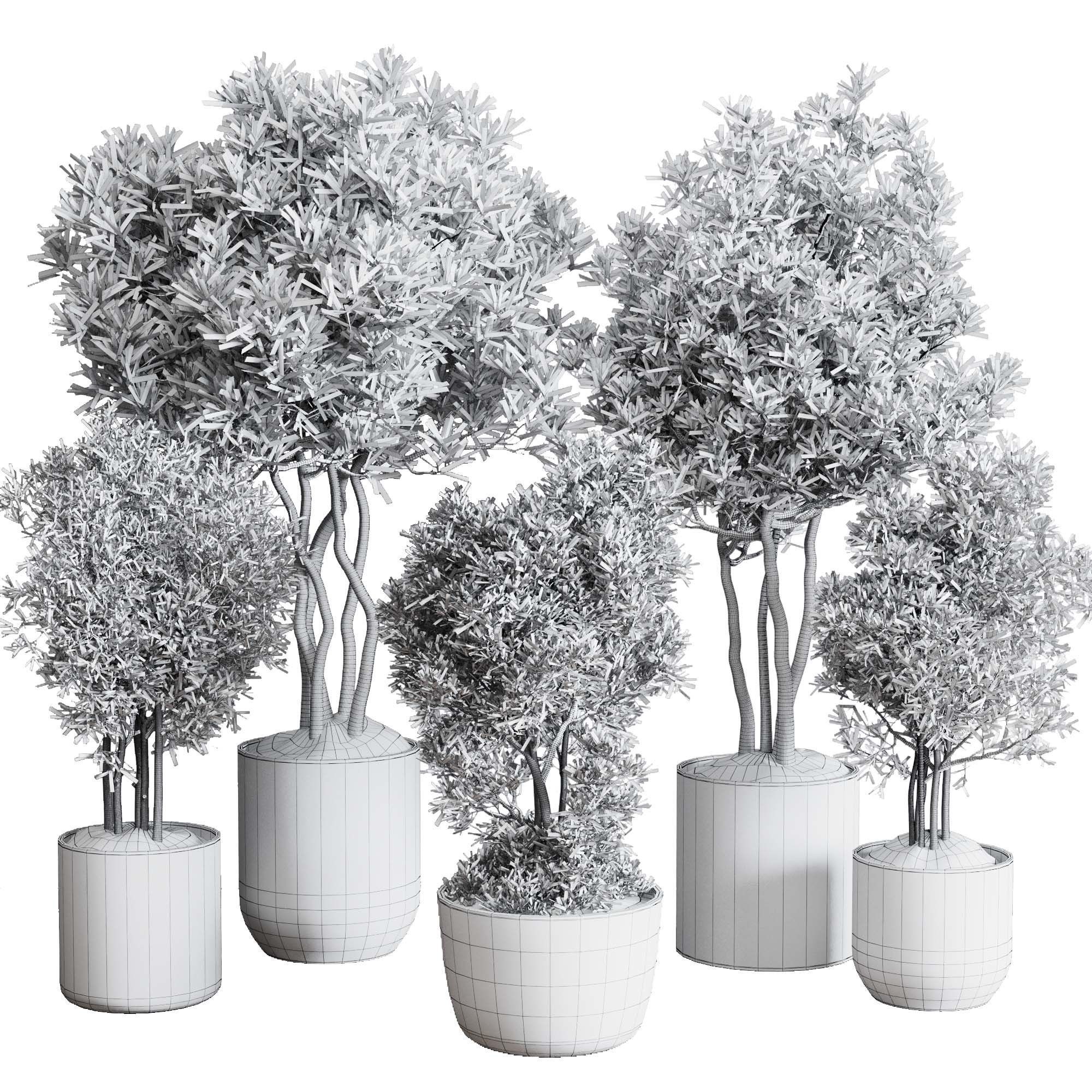Indoor plant set 354 plant tree vase dirty concrete Low-poly 3D model_6
