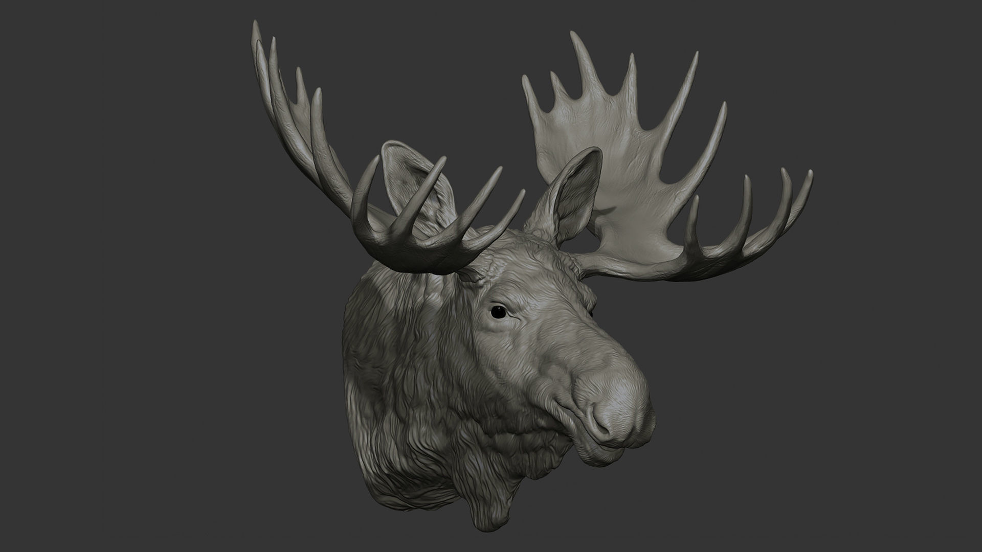 Moose Elk head 3D print model_19