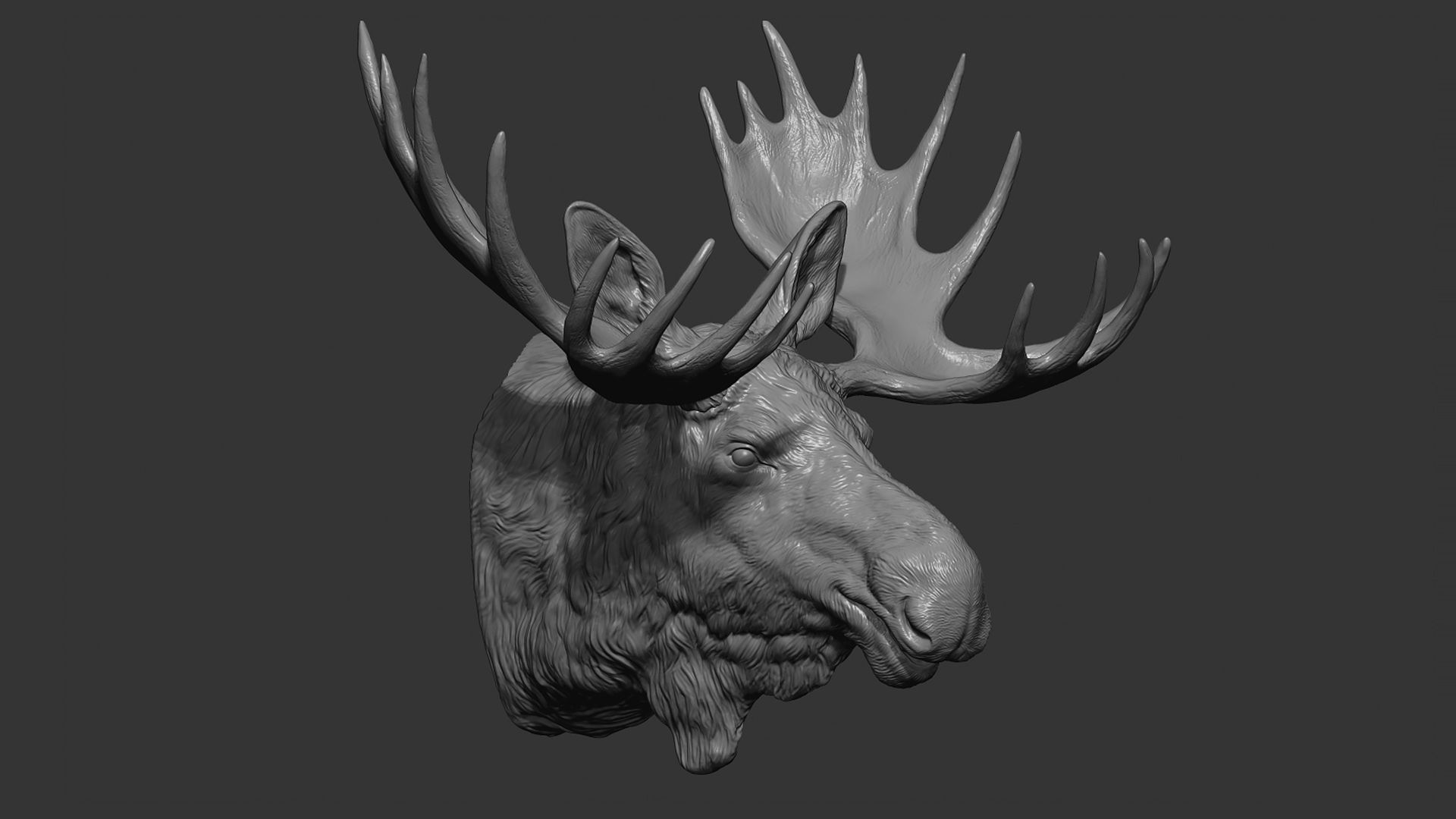 Moose Elk head 3D print model_8