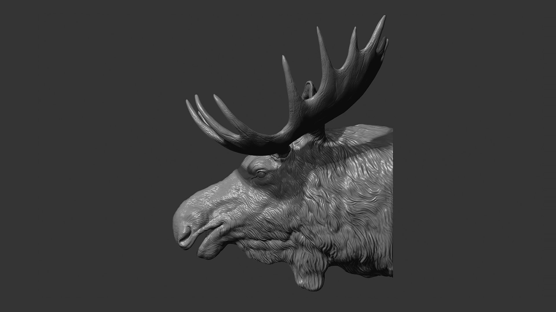 Moose Elk head 3D print model_4