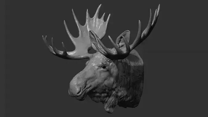 Moose Elk head 3D print model