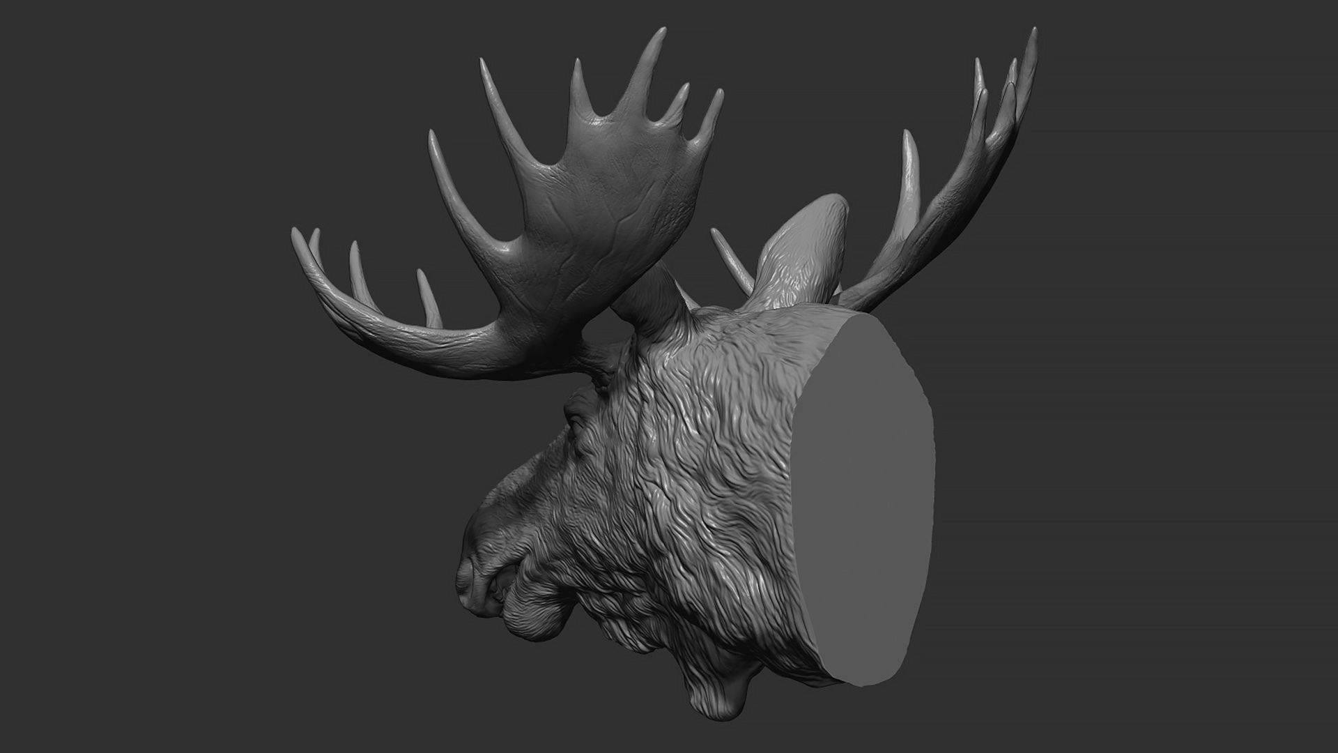 Moose Elk head 3D print model_7