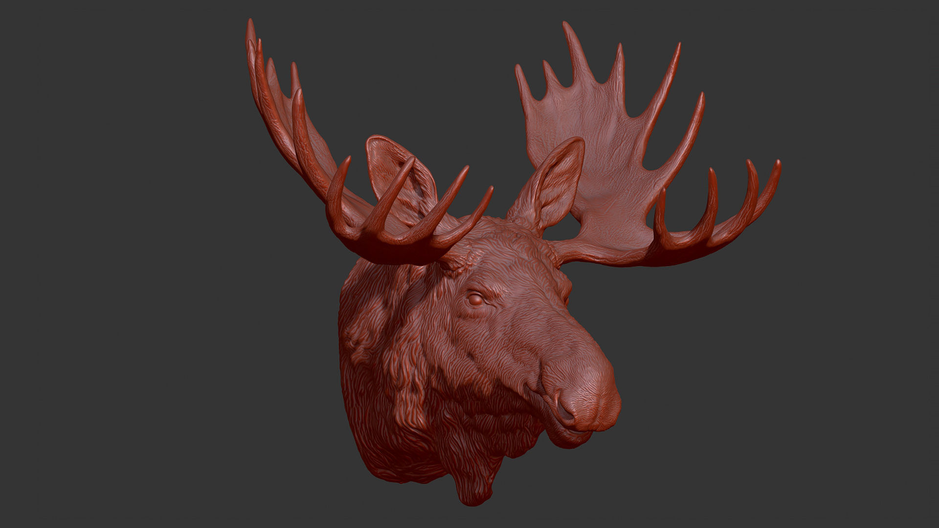 Moose Elk head 3D print model_12