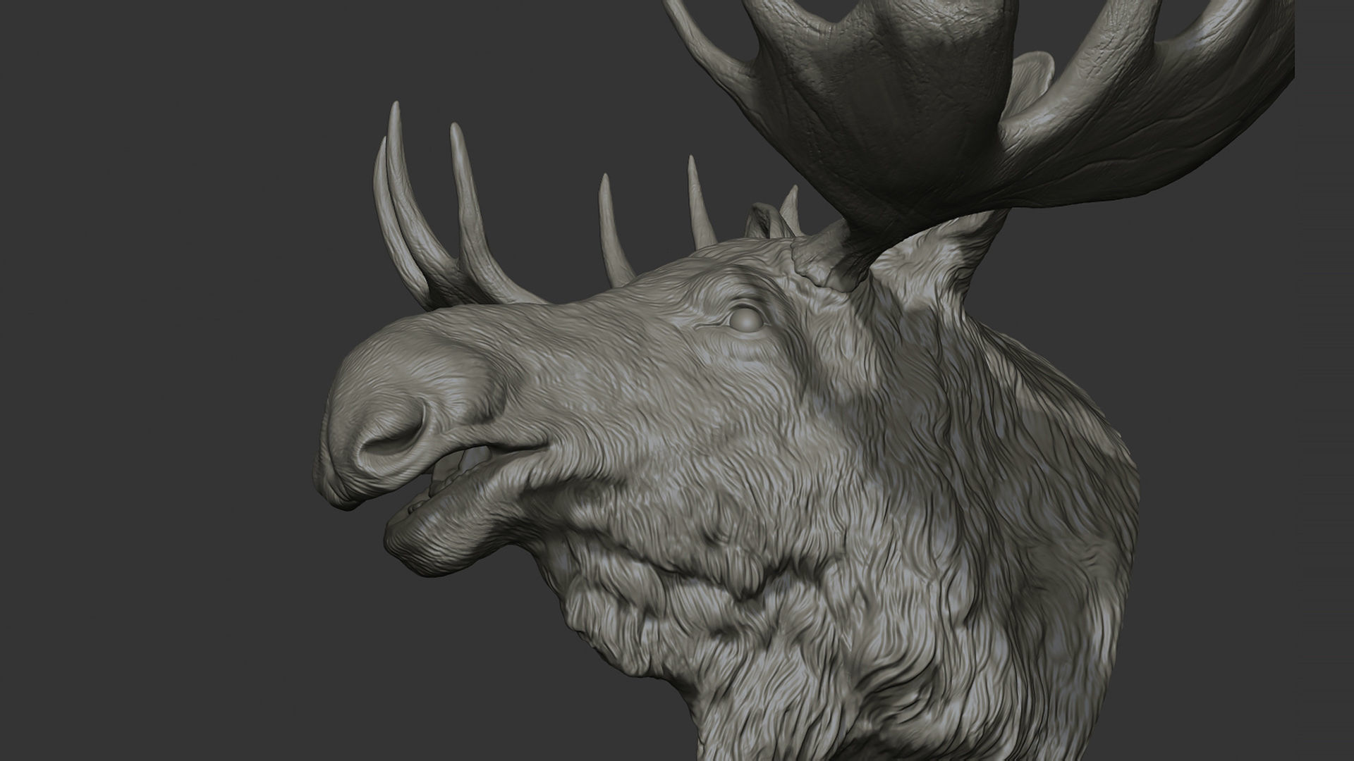 Moose Elk head 3D print model_15
