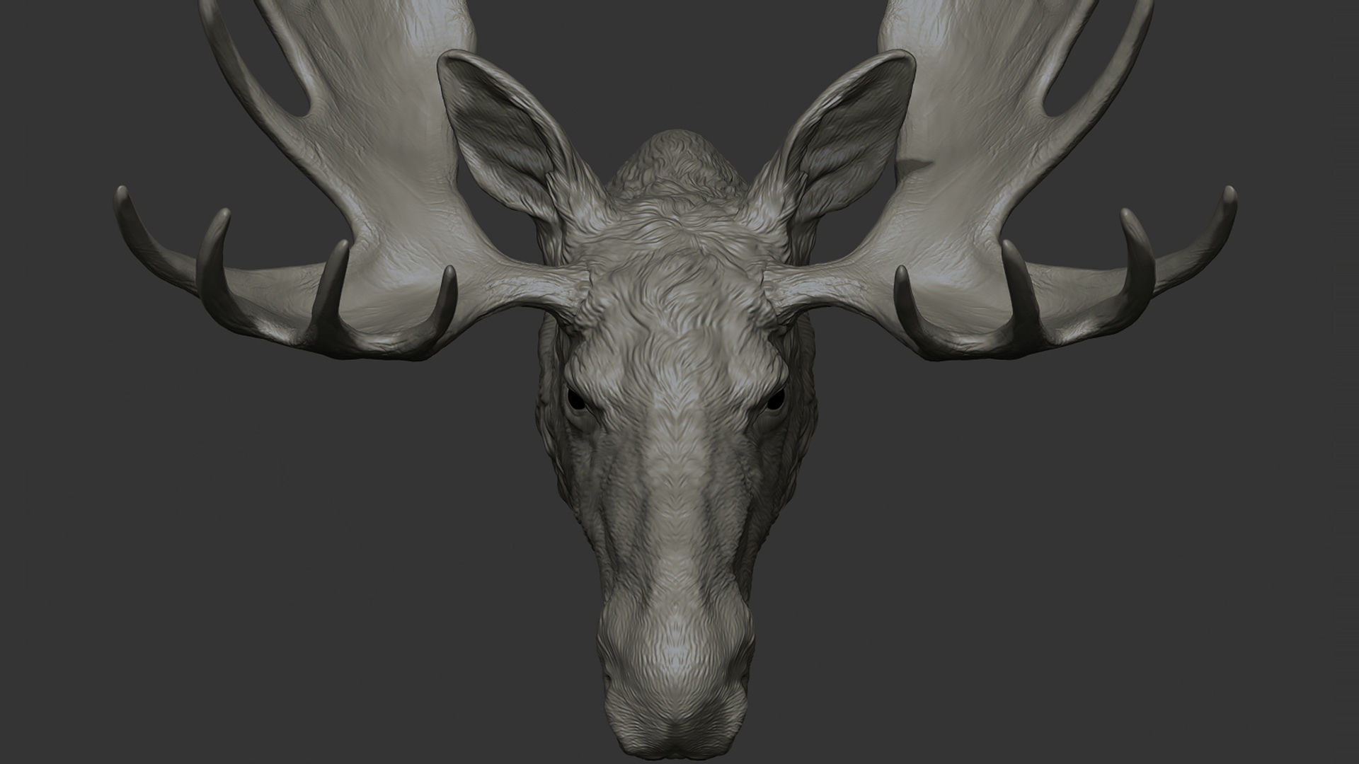 Moose Elk head 3D print model_17