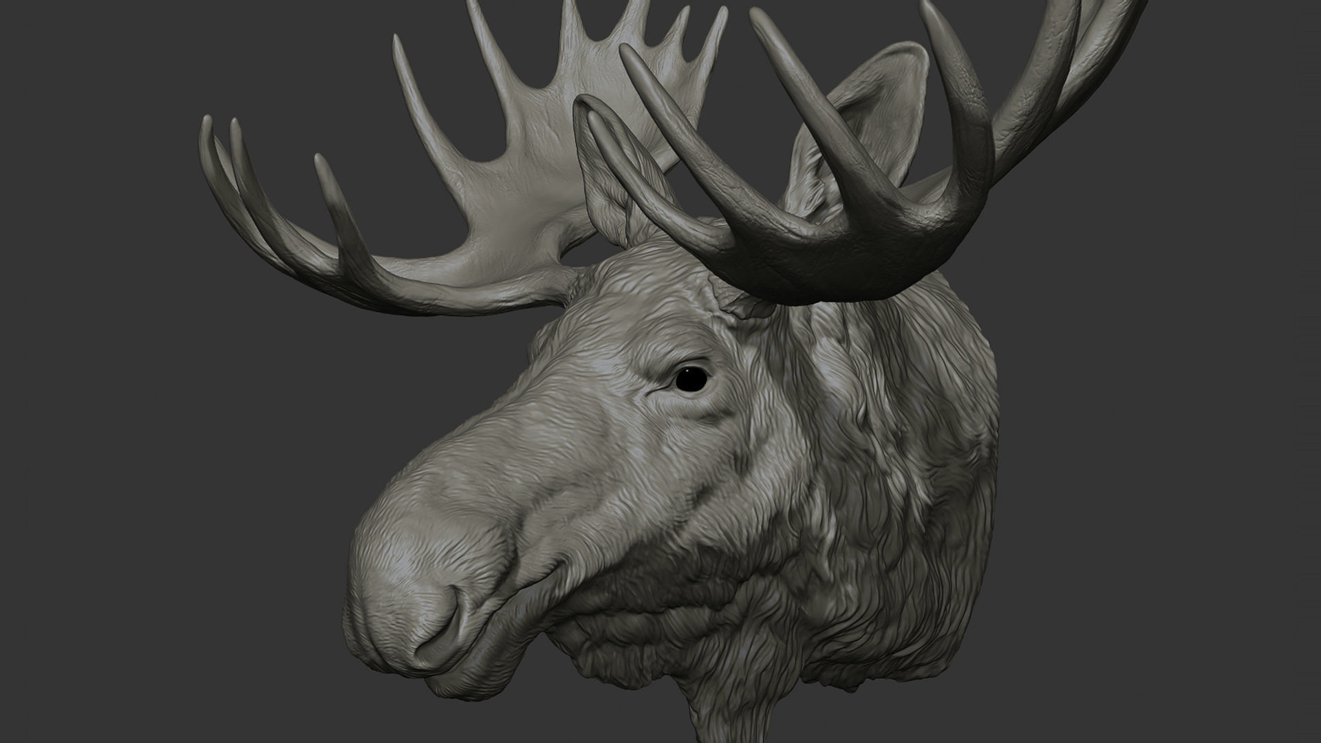 Moose Elk head 3D print model_16
