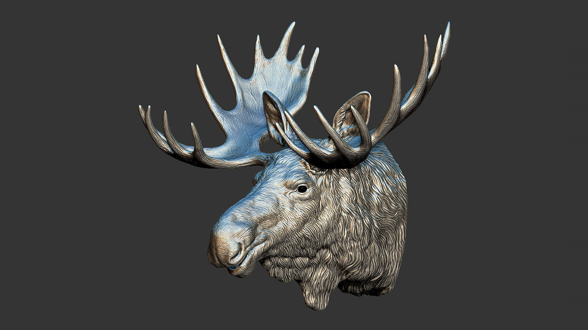 Moose Elk head 3D print model_1