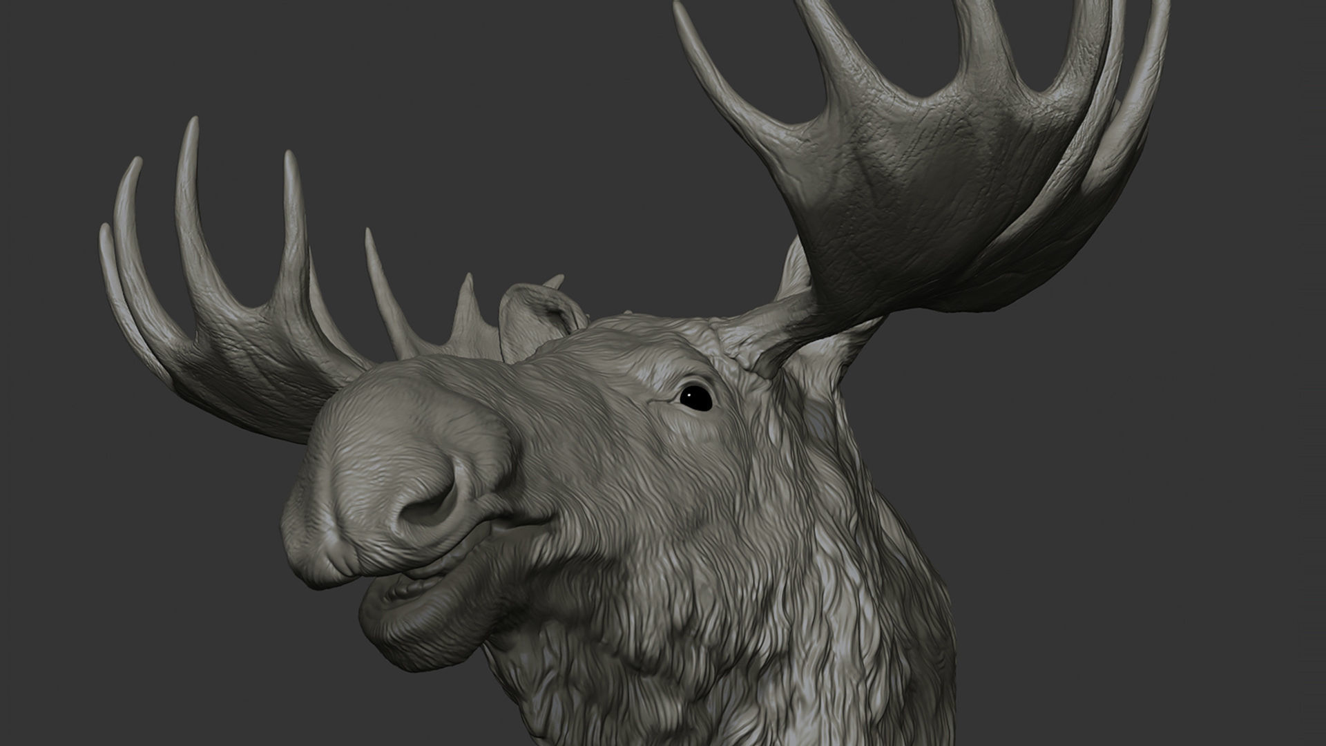 Moose Elk head 3D print model_18
