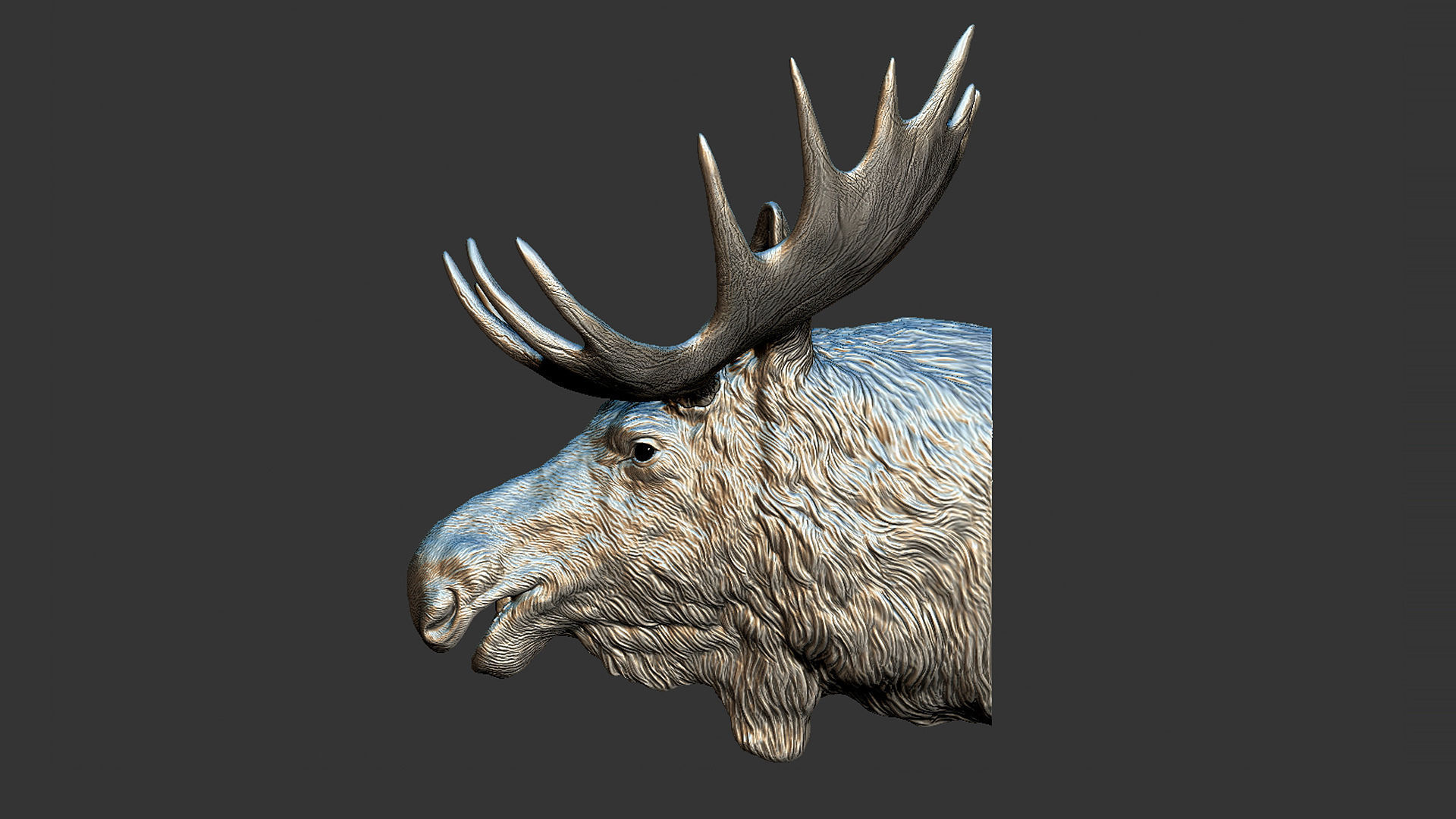 Moose Elk head 3D print model_2