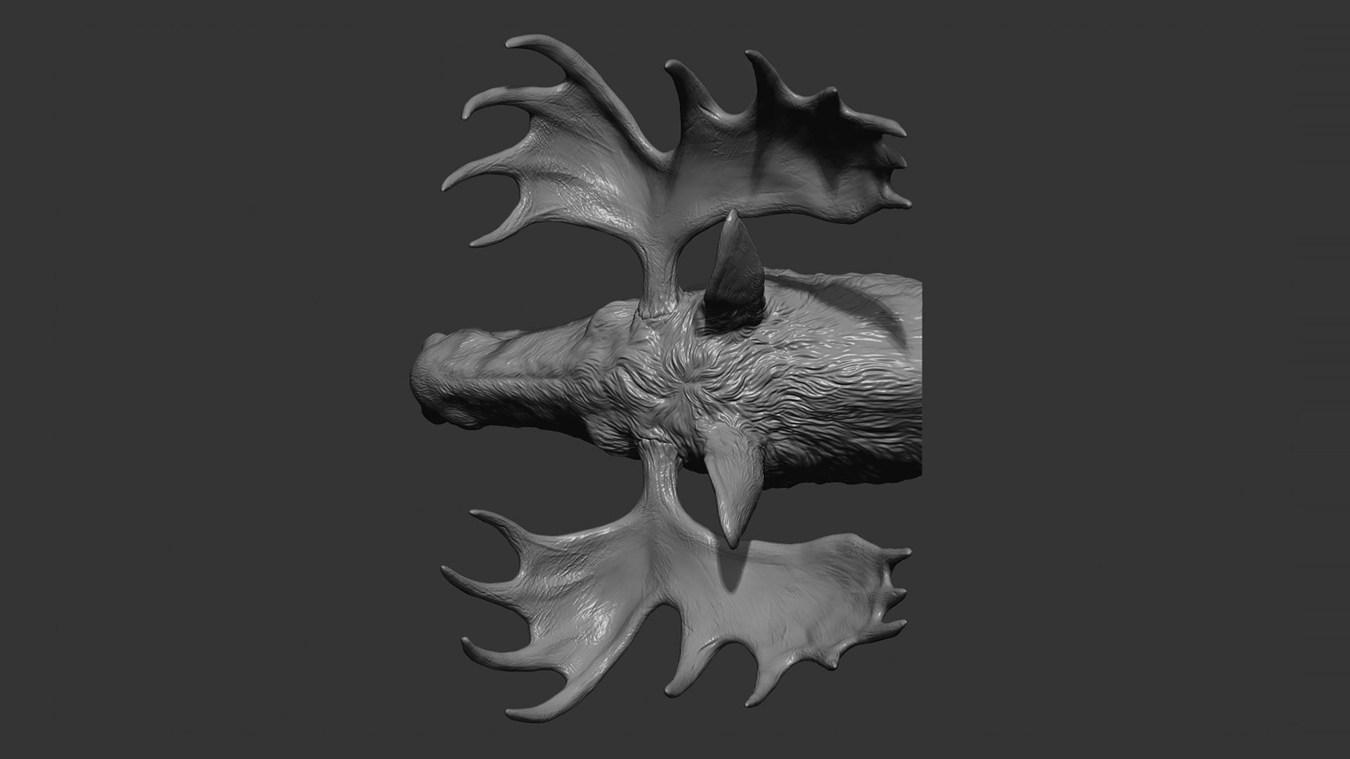 Moose Elk head 3D print model_10