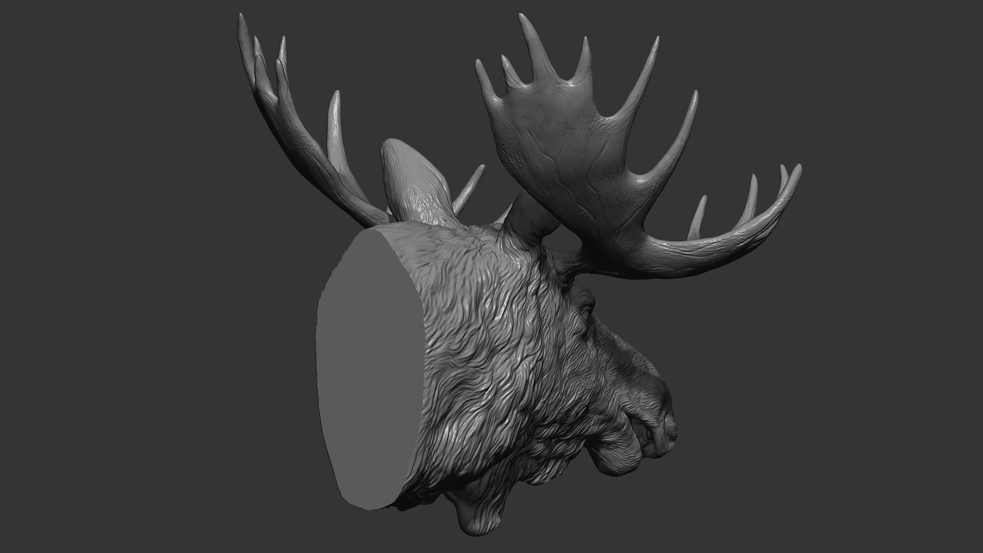 Moose Elk head 3D print model_9