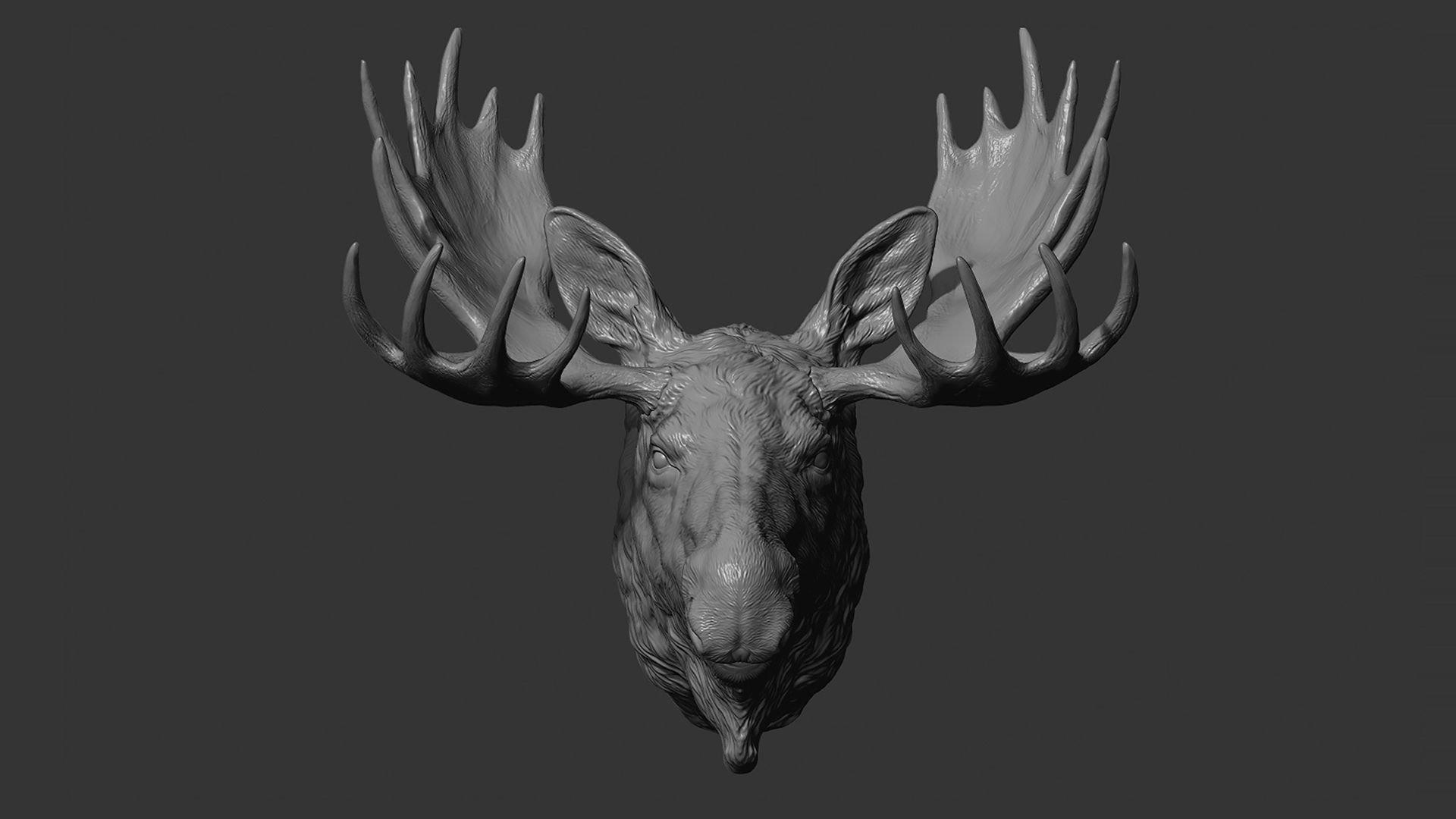 Moose Elk head 3D print model_5