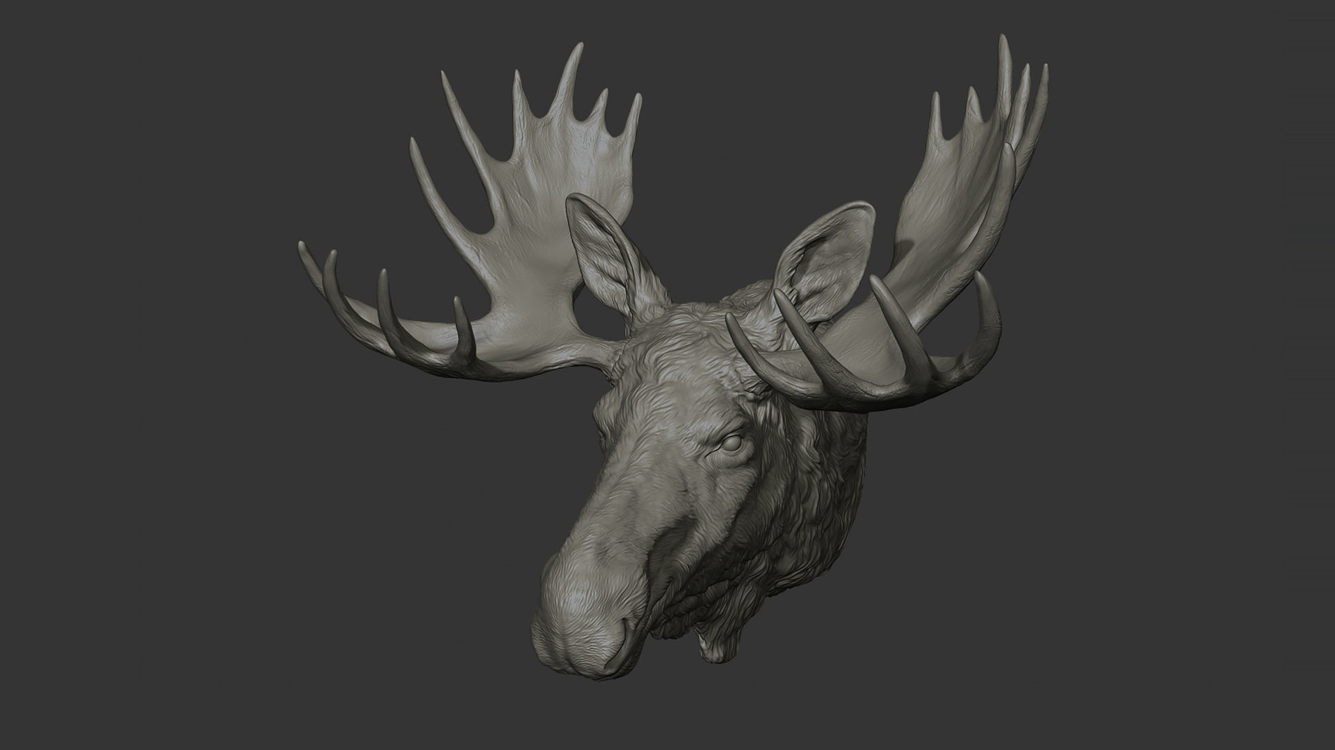 Moose Elk head 3D print model_14