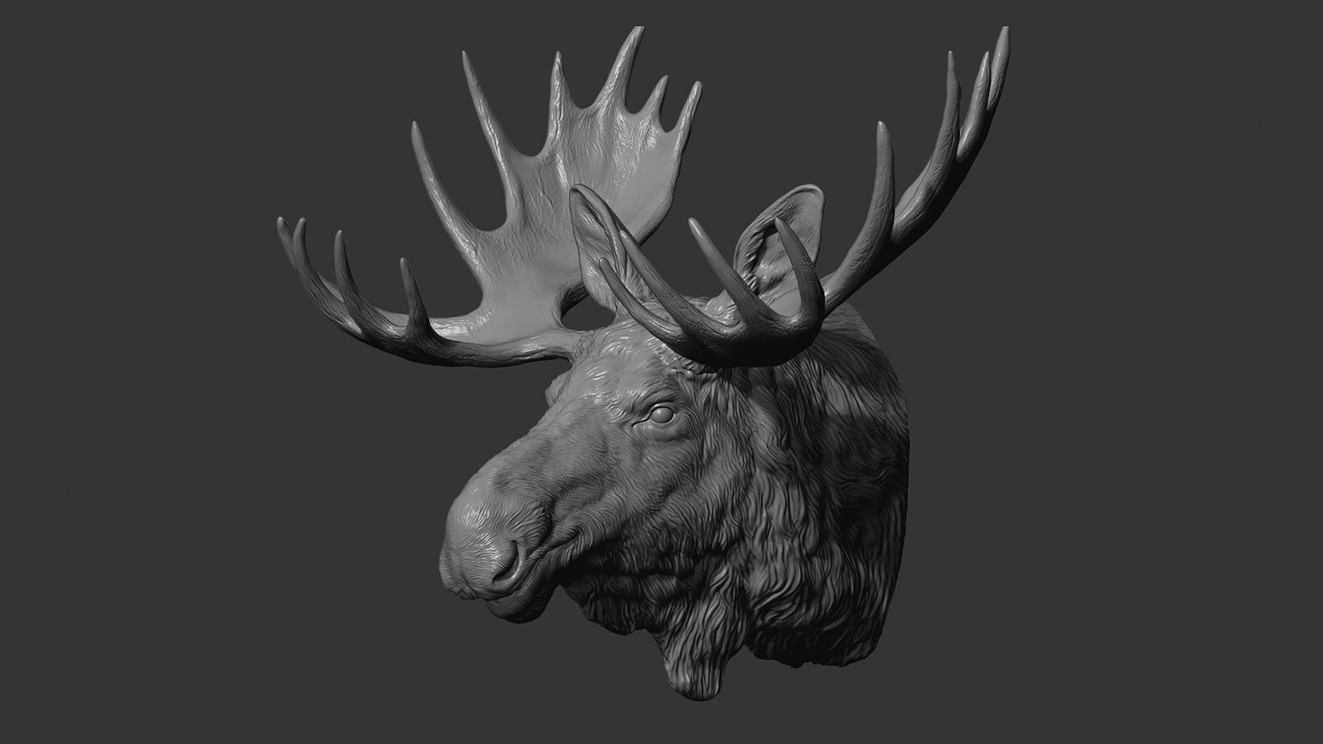 Moose Elk head 3D print model_6