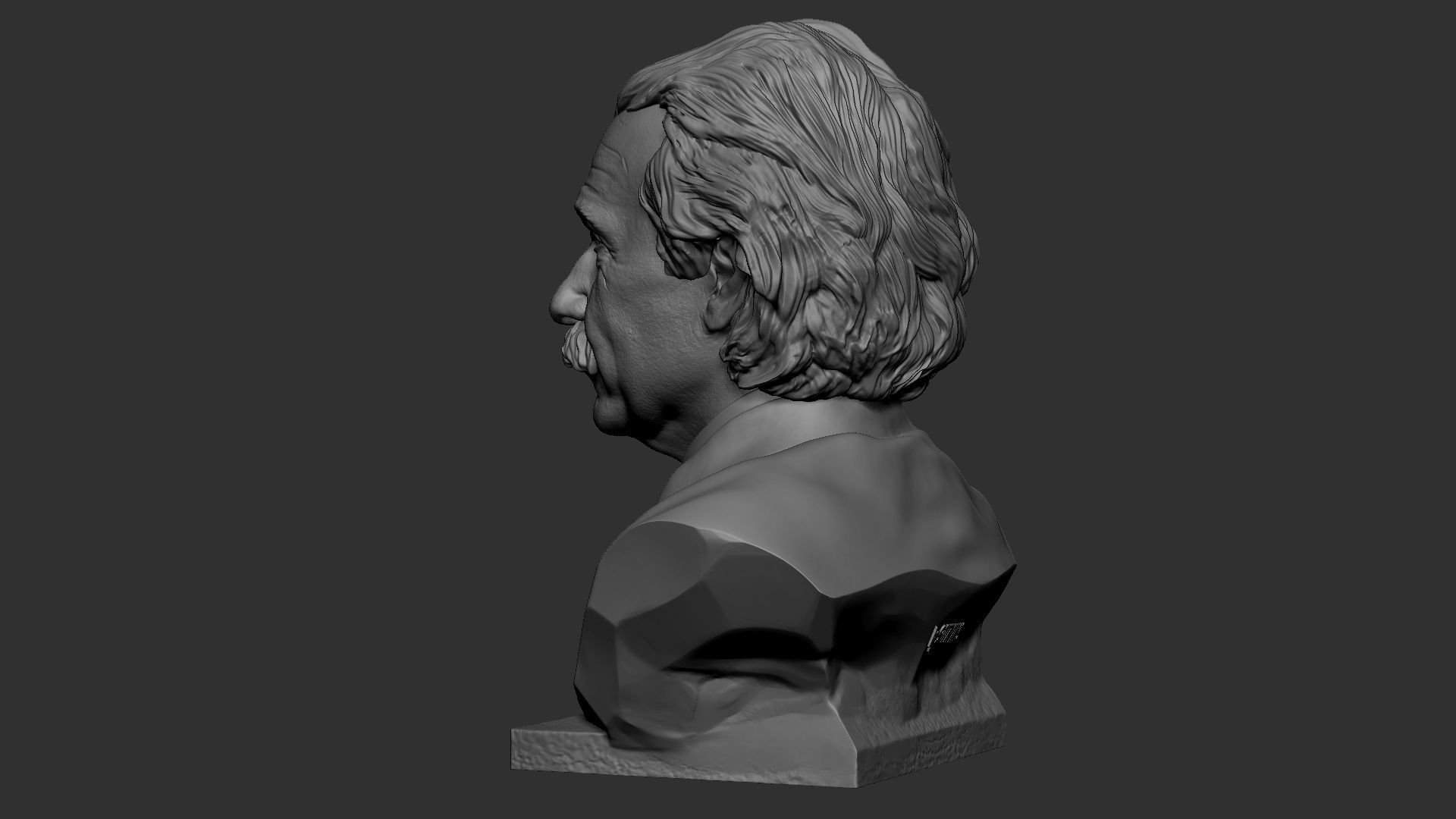 Albert Einstein 3D print model_9