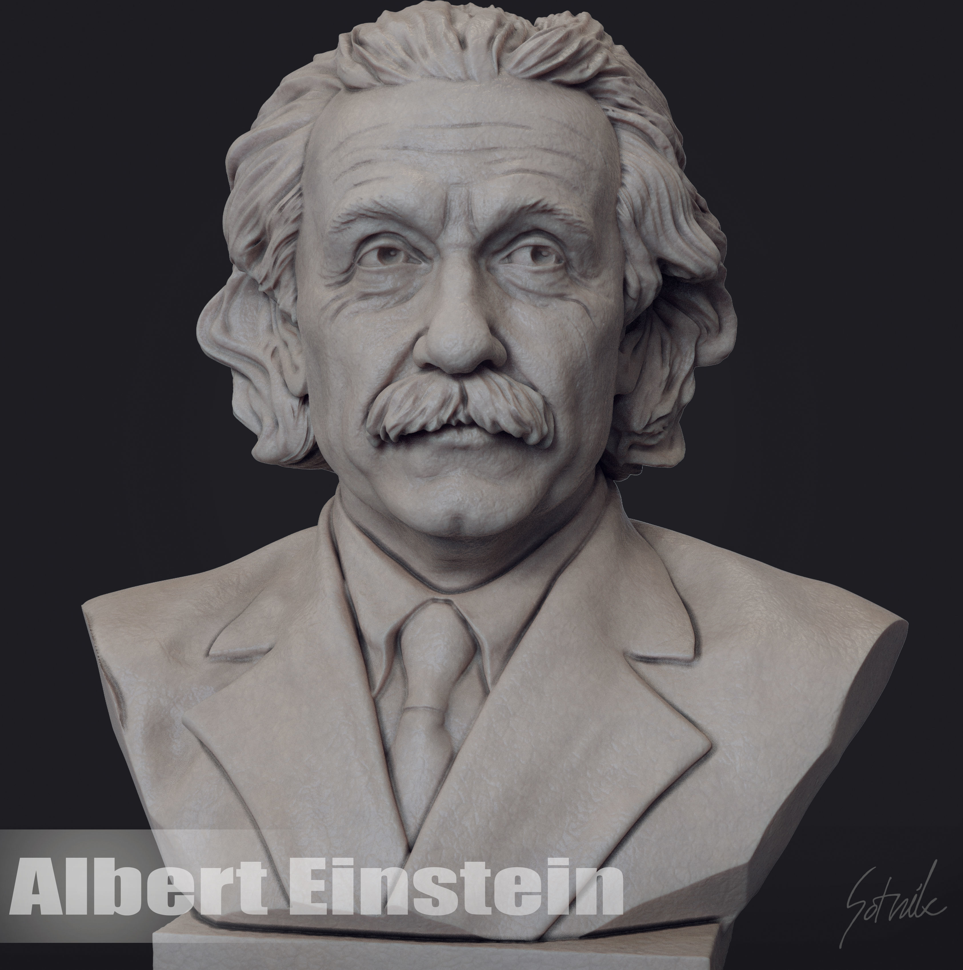 Albert Einstein 3D print model_15