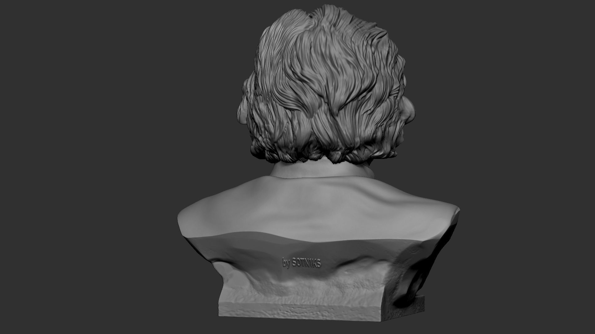 Albert Einstein 3D print model_16
