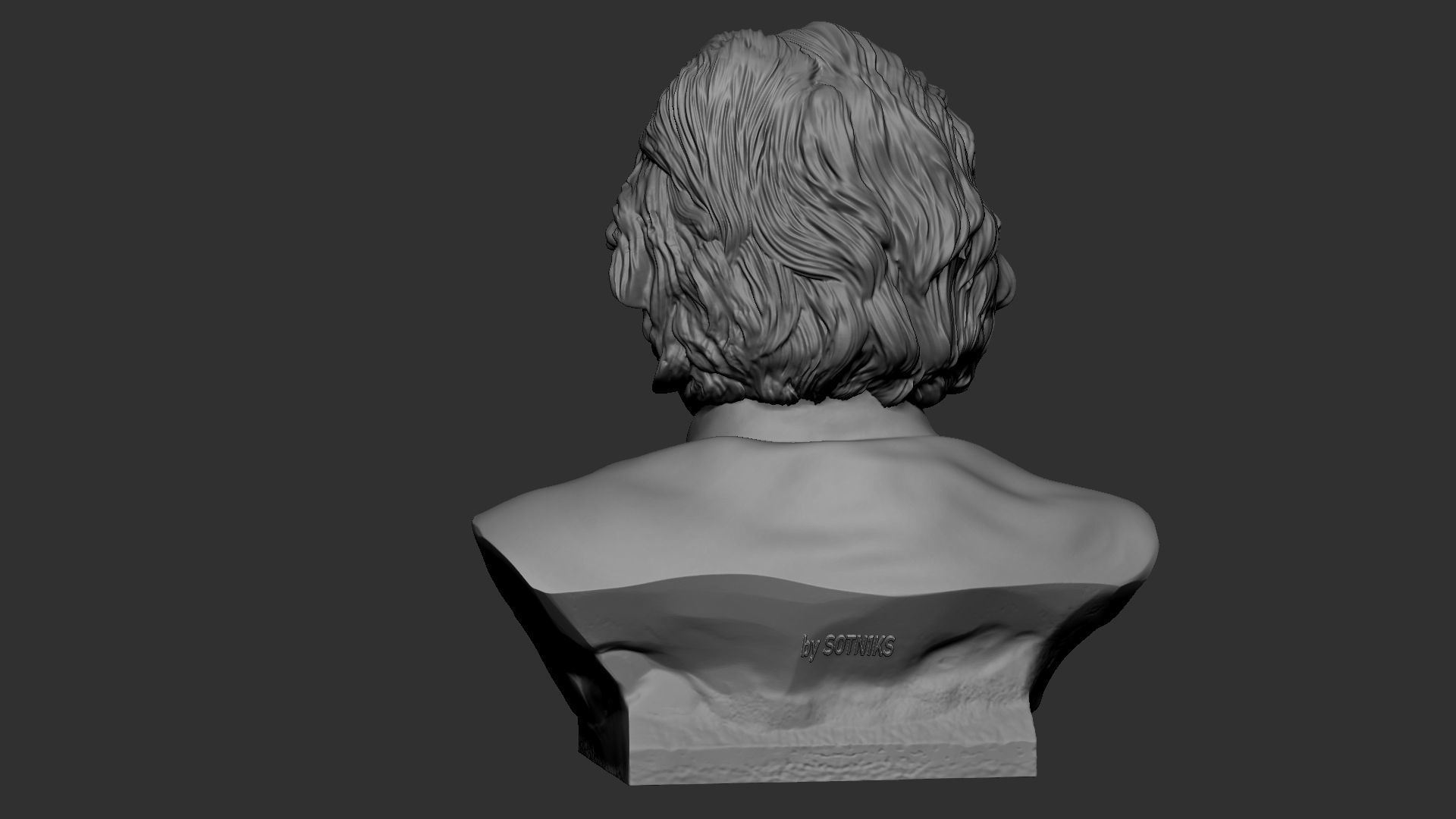 Albert Einstein 3D print model_13