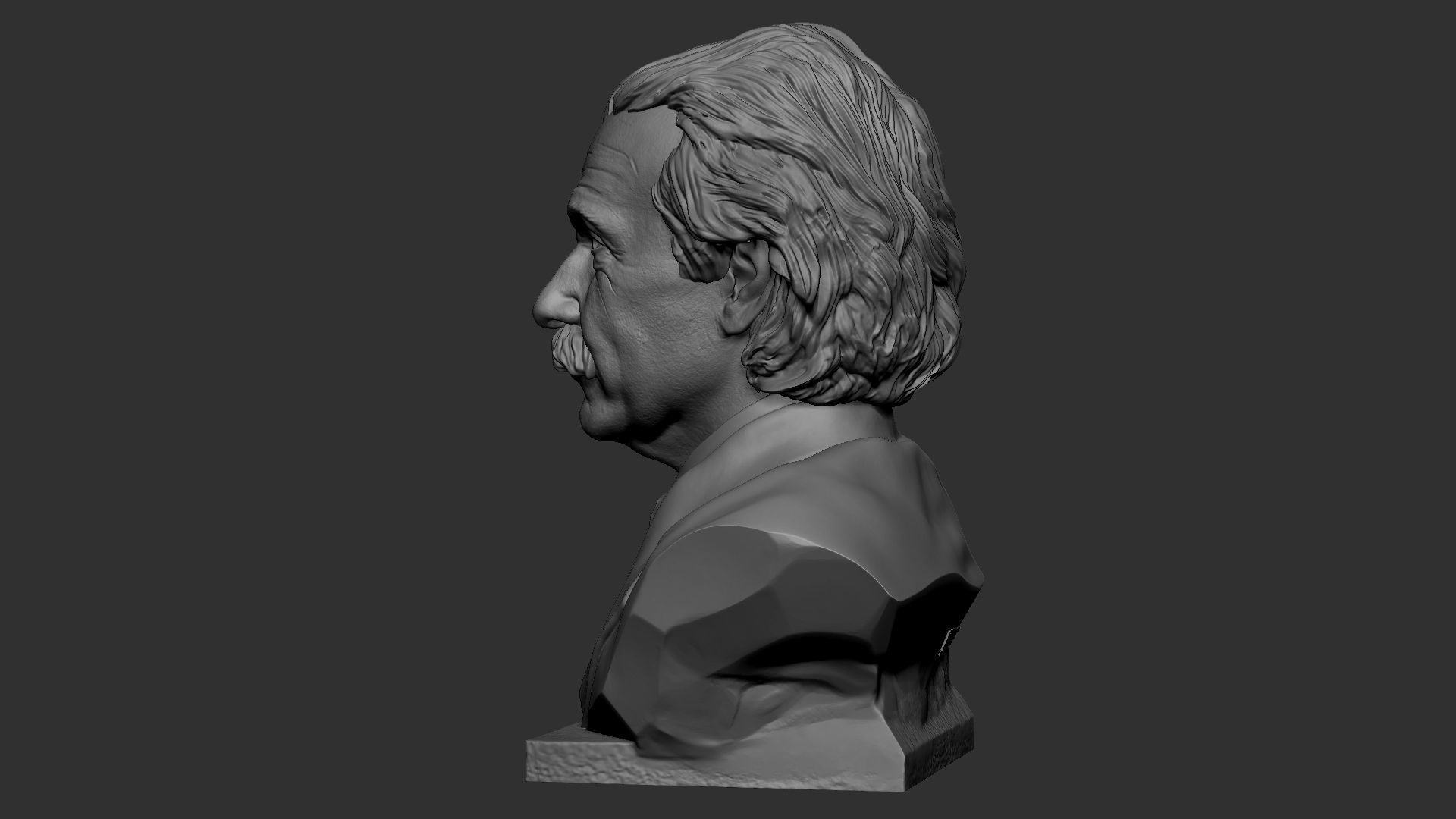 Albert Einstein 3D print model_47