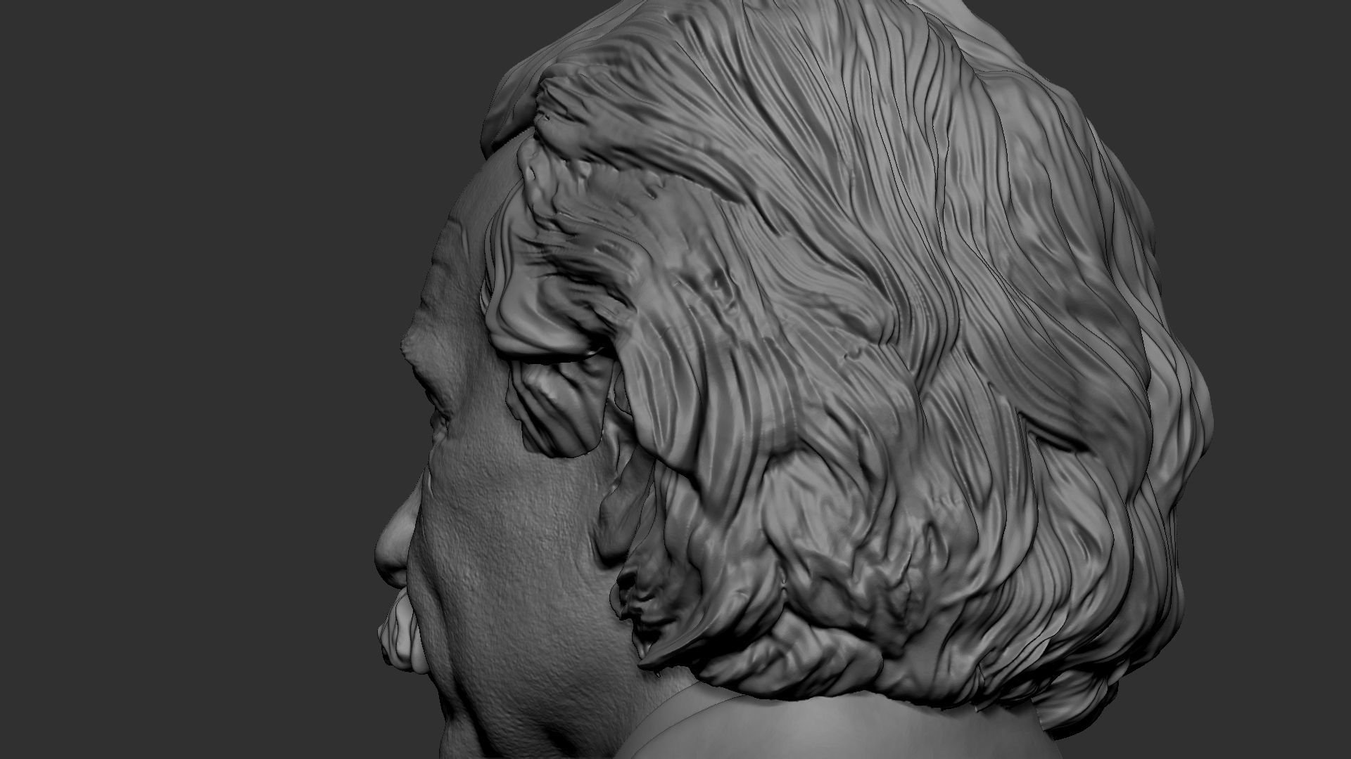 Albert Einstein 3D print model_29