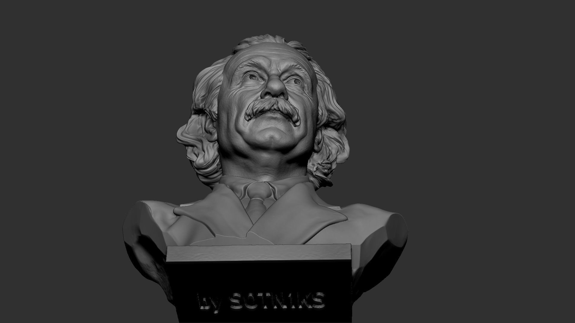 Albert Einstein 3D print model_34