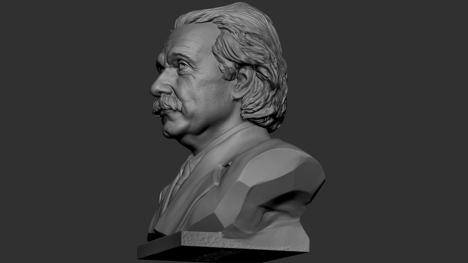 Albert Einstein 3D print model_39
