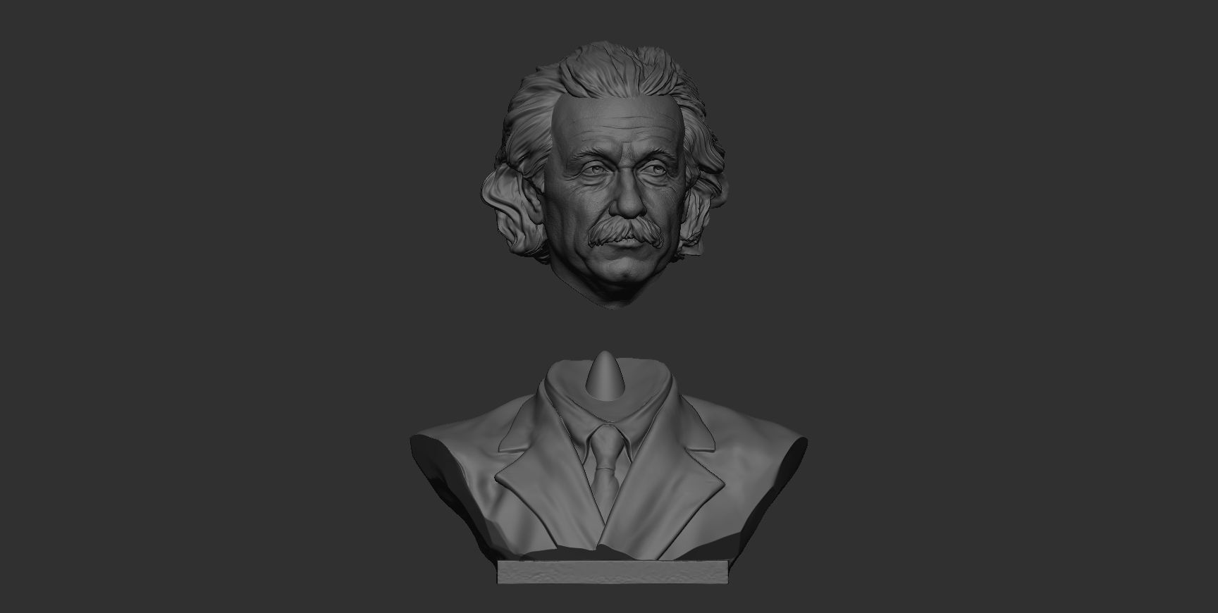 Albert Einstein 3D print model_3