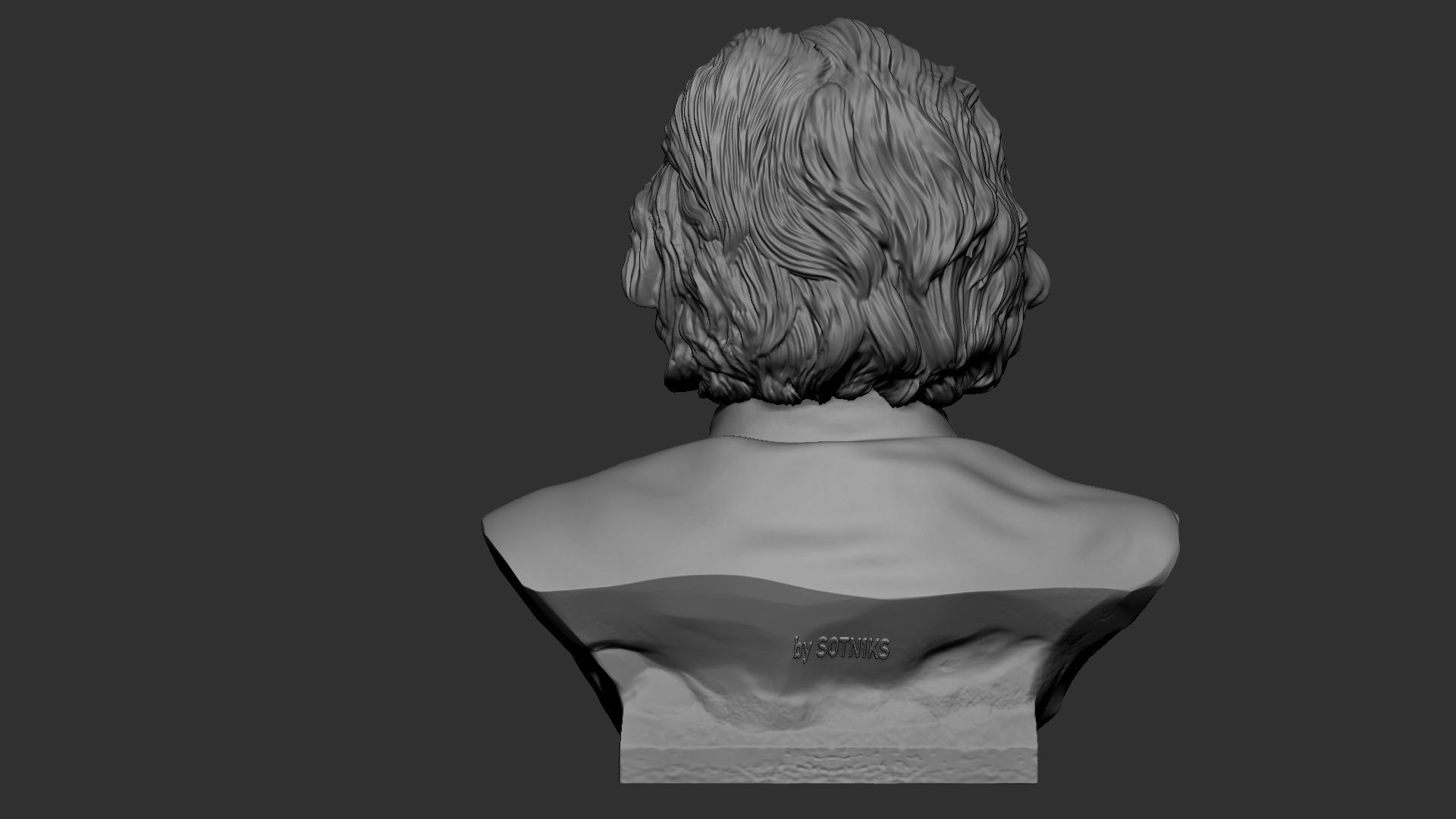 Albert Einstein 3D print model_14