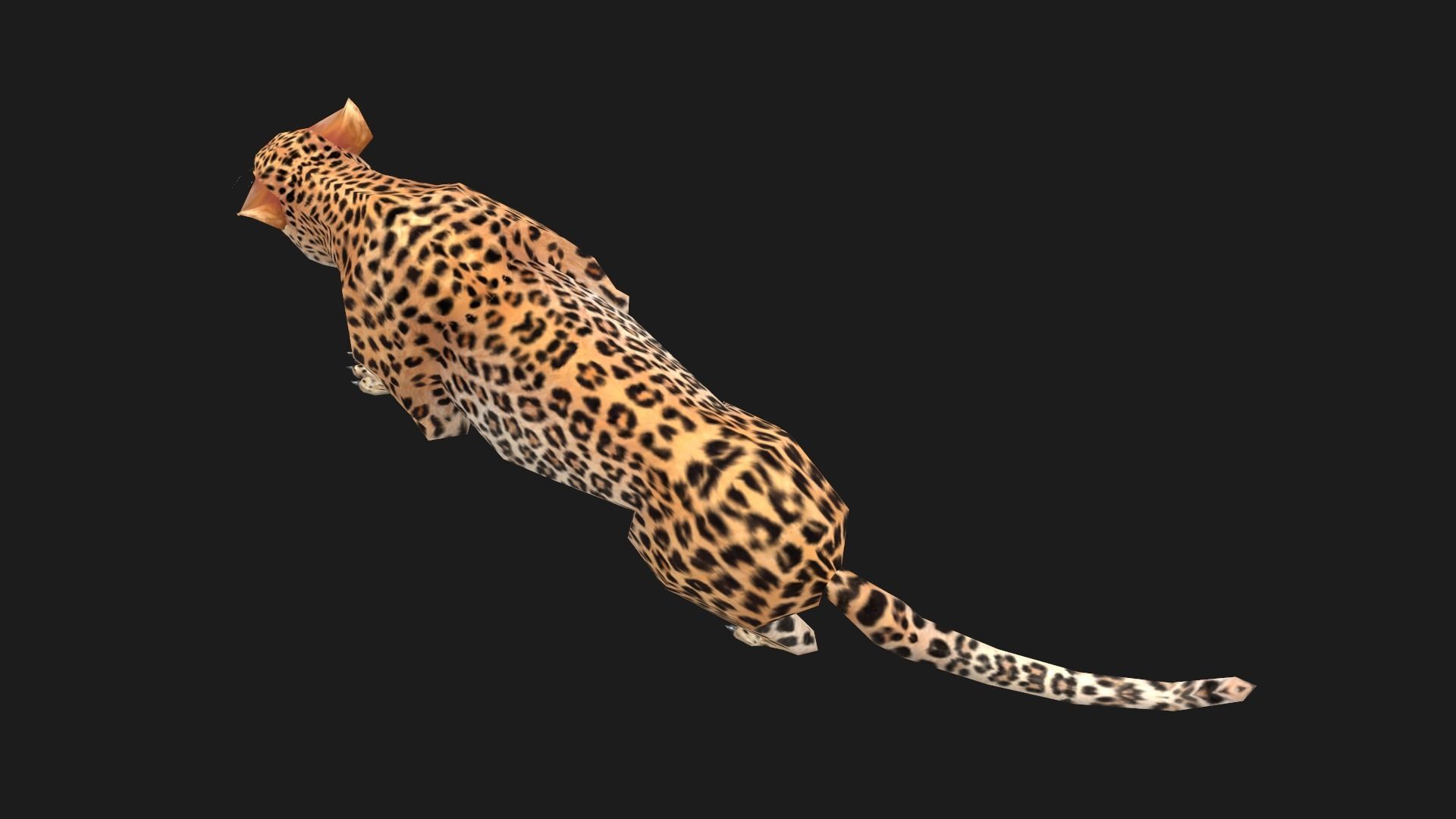 low-poly animated leopard Low-poly 3D model_11