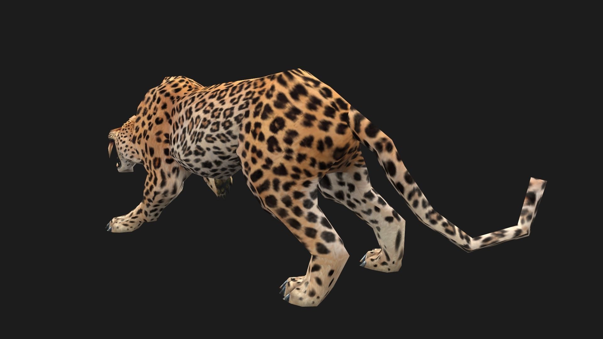 low-poly animated leopard Low-poly 3D model_12