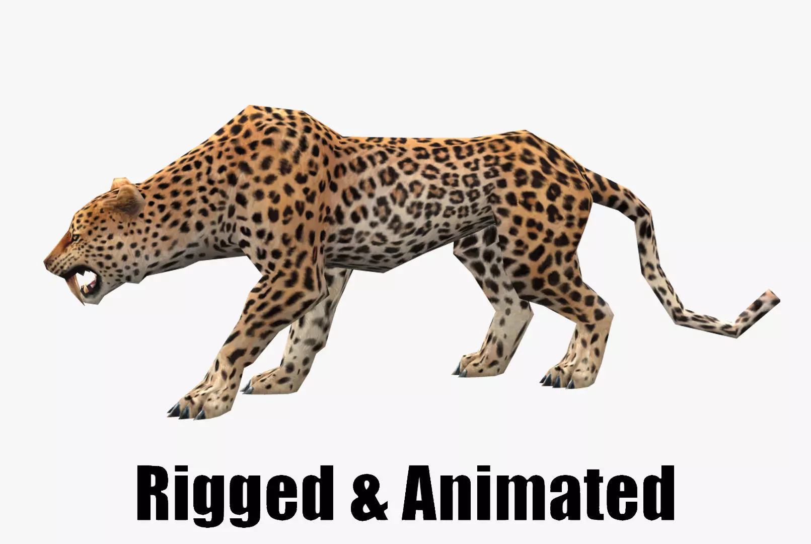low-poly animated leopard Low-poly 3D model_0