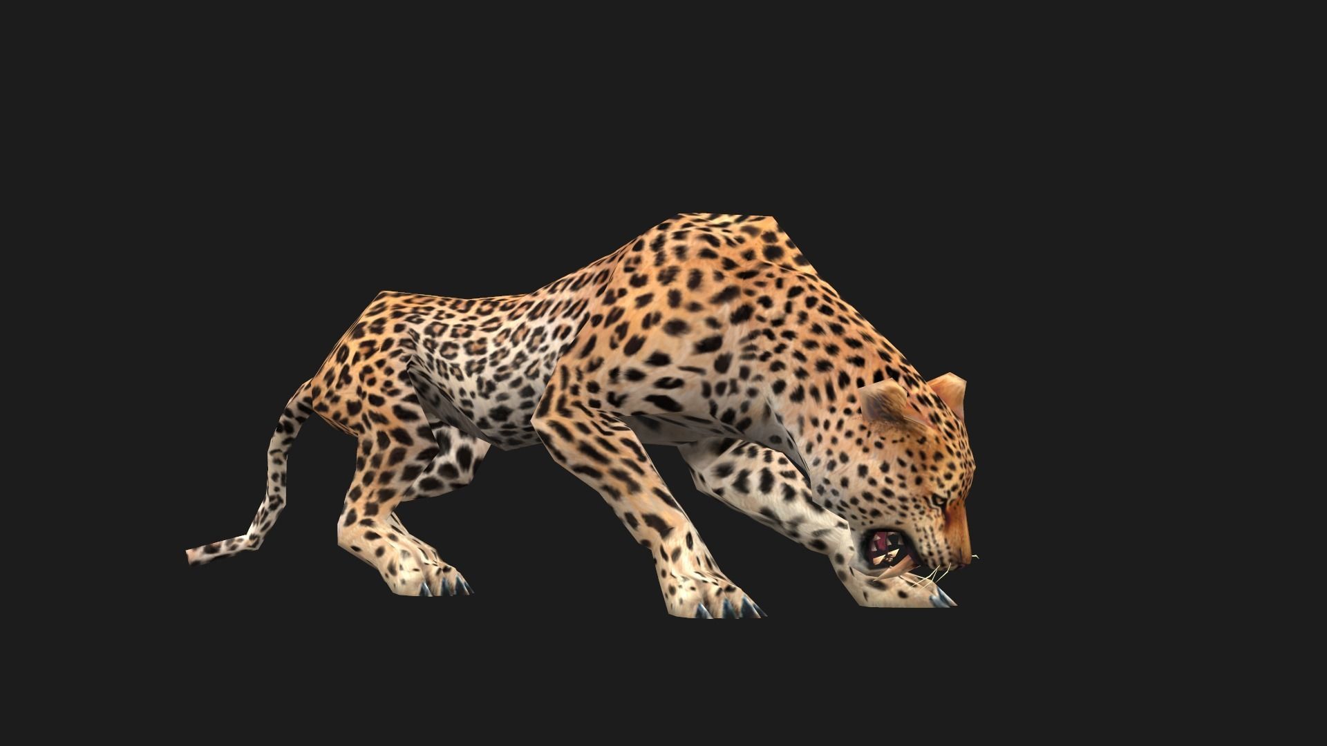low-poly animated leopard Low-poly 3D model_7