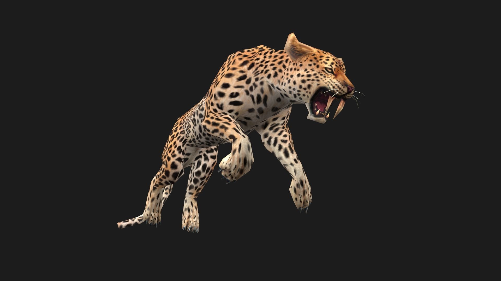 low-poly animated leopard Low-poly 3D model_8