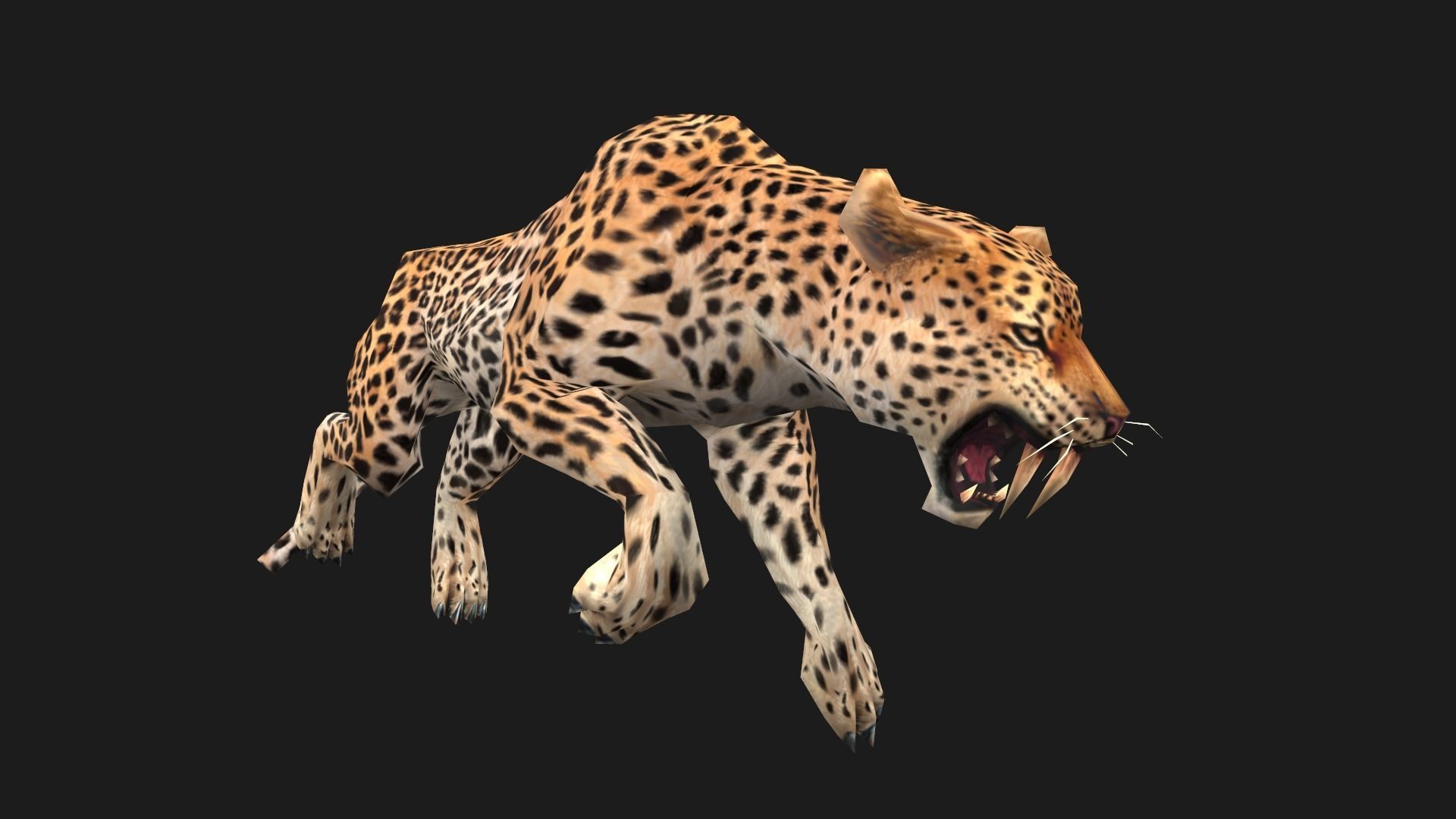 low-poly animated leopard Low-poly 3D model_10