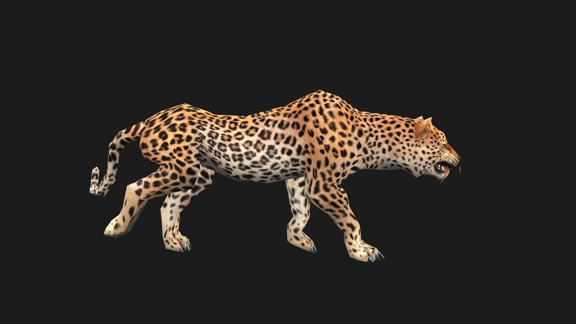 low-poly animated leopard Low-poly 3D model_14