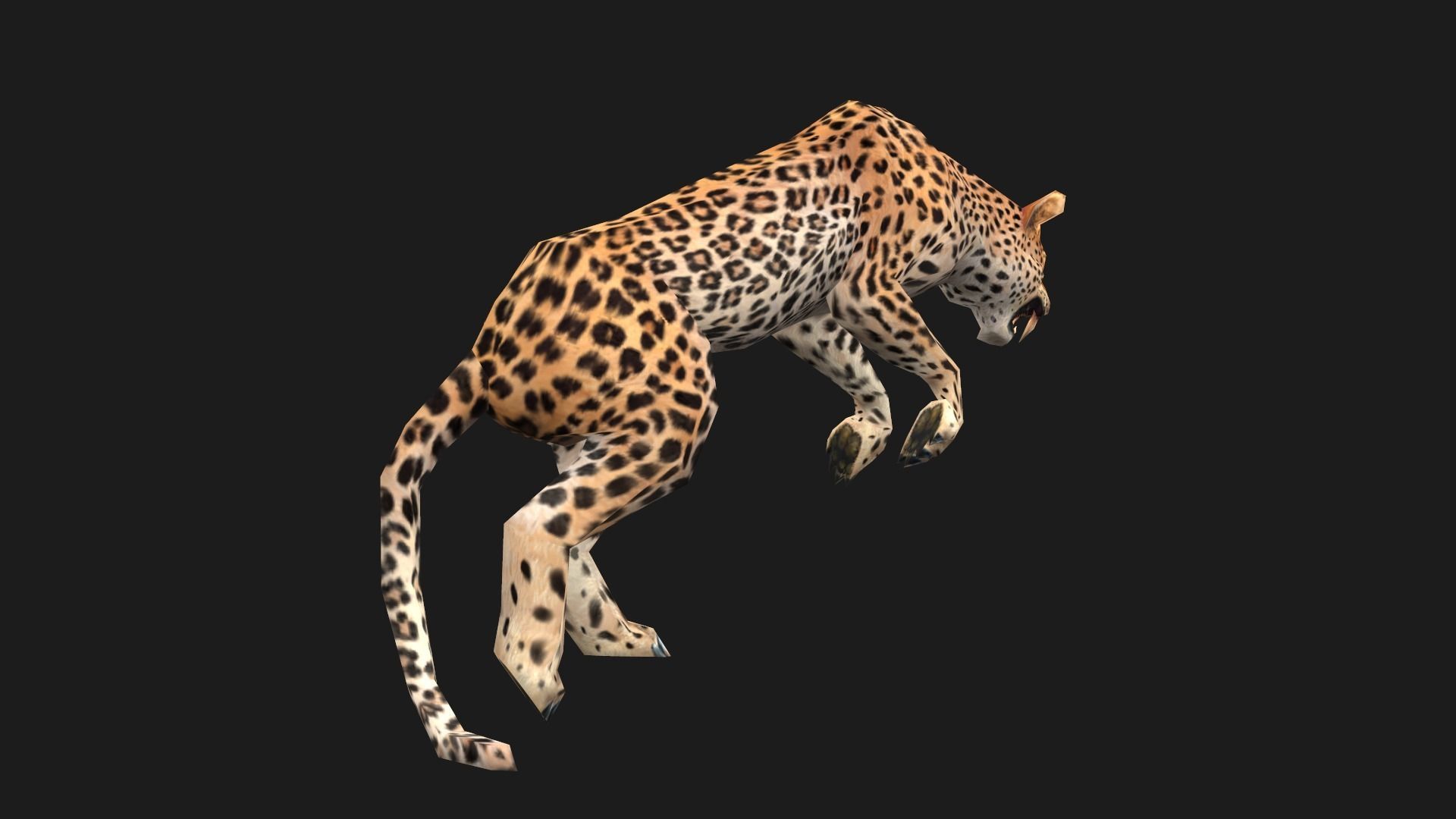 low-poly animated leopard Low-poly 3D model_13