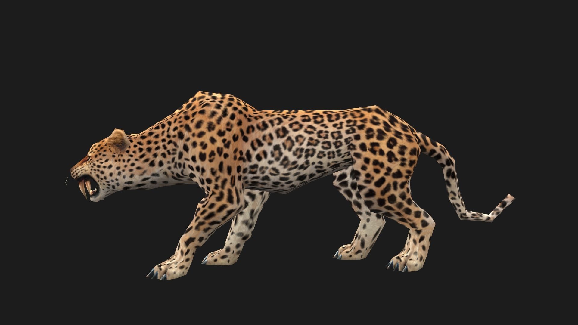 low-poly animated leopard Low-poly 3D model_5