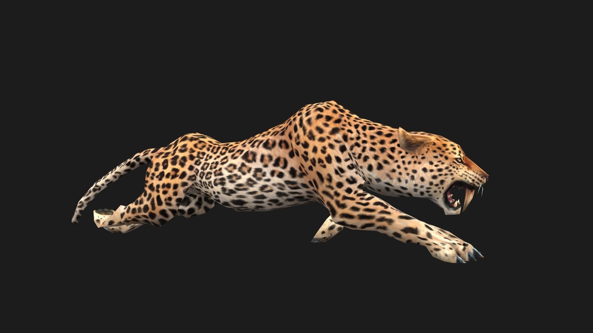 low-poly animated leopard Low-poly 3D model_9