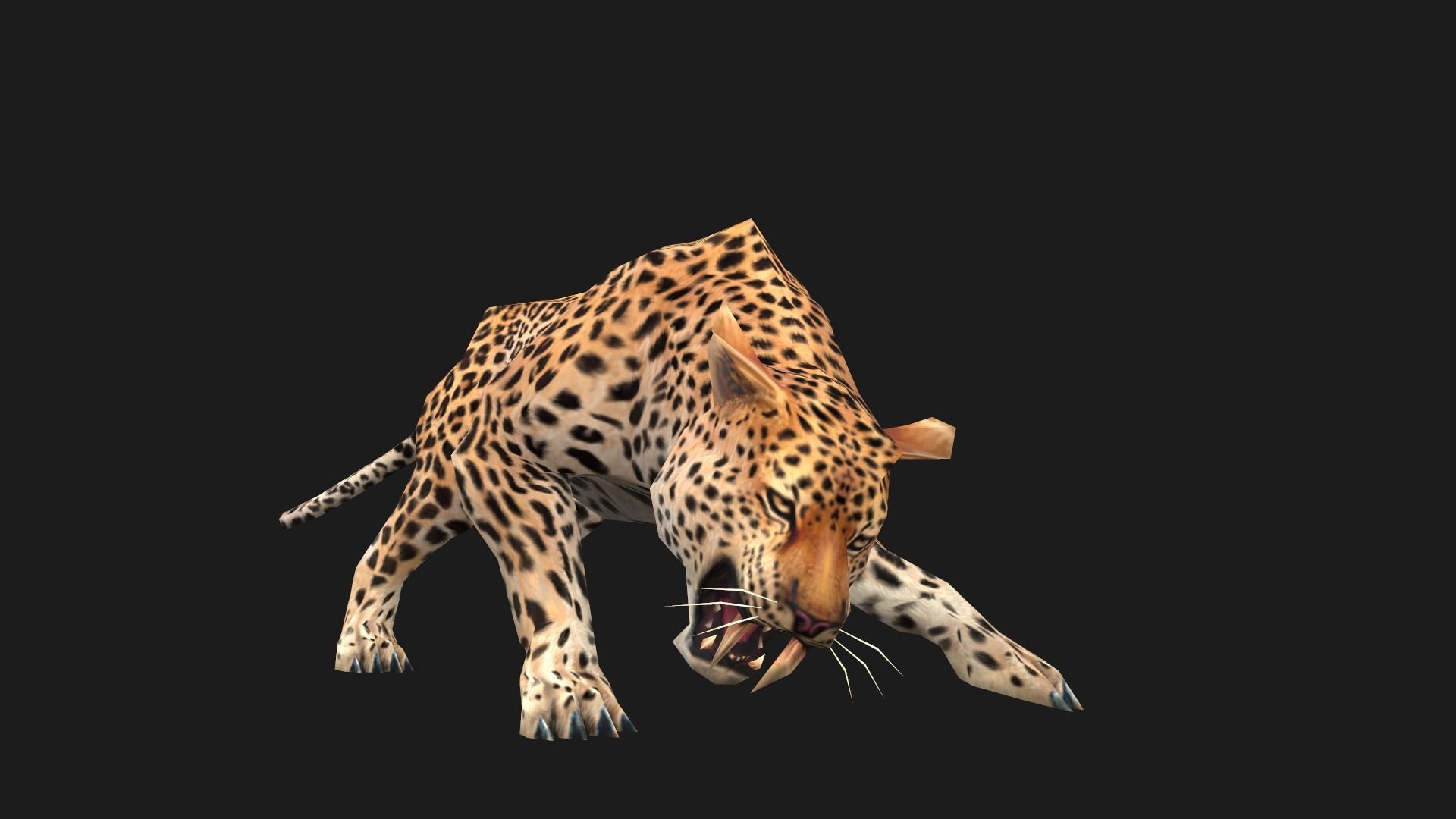 low-poly animated leopard Low-poly 3D model_6
