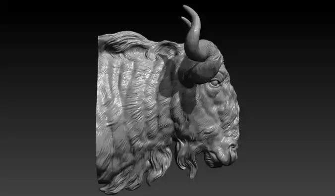 Wildebeest head 3D print model