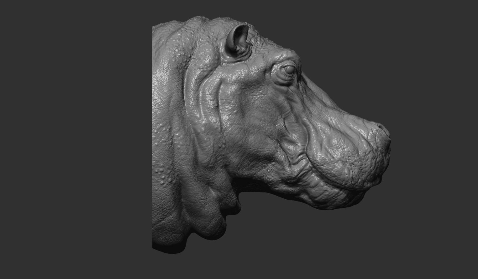 Hippopotamus head with background 3D print model_13