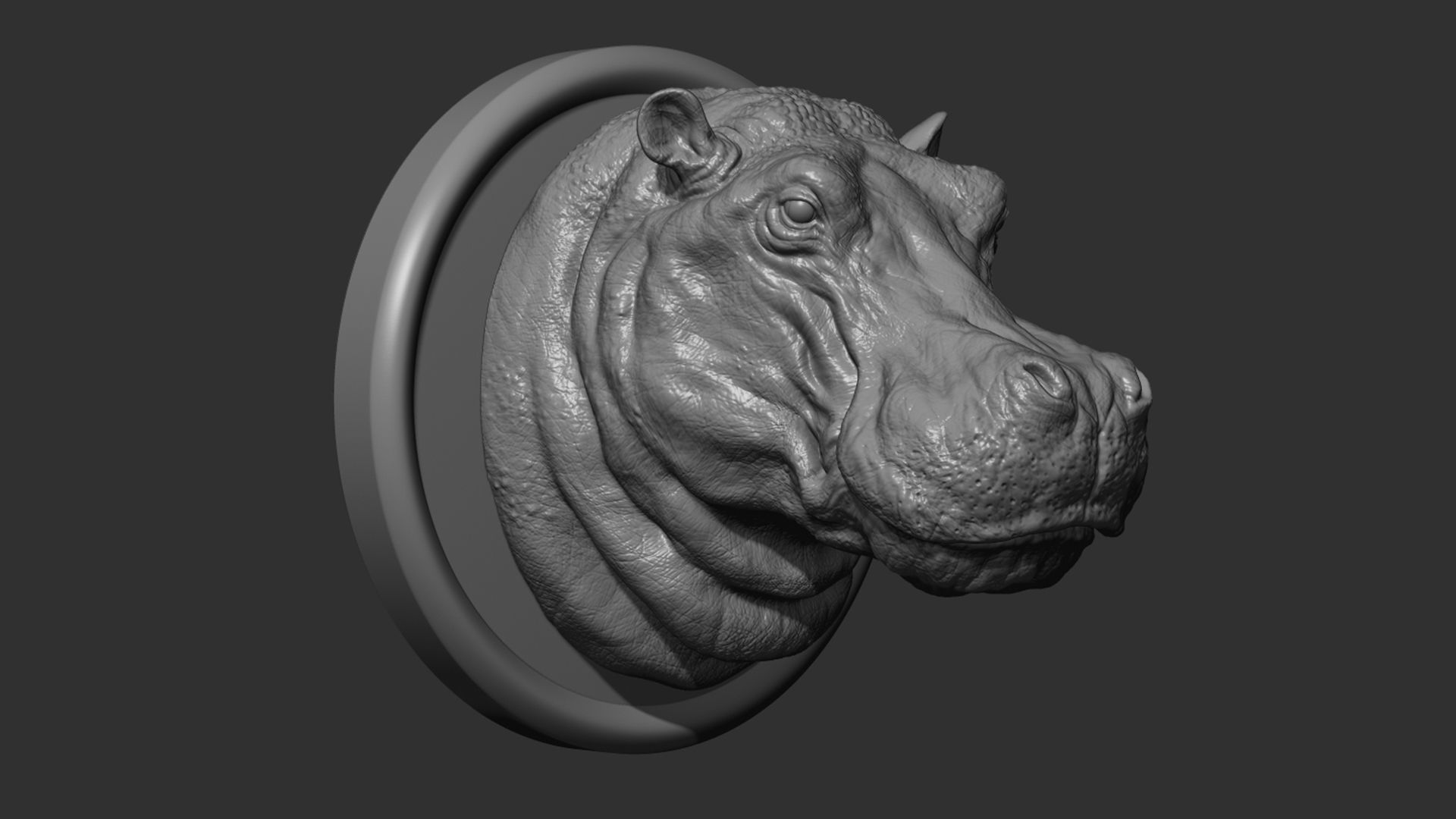 Hippopotamus head with background 3D print model_9